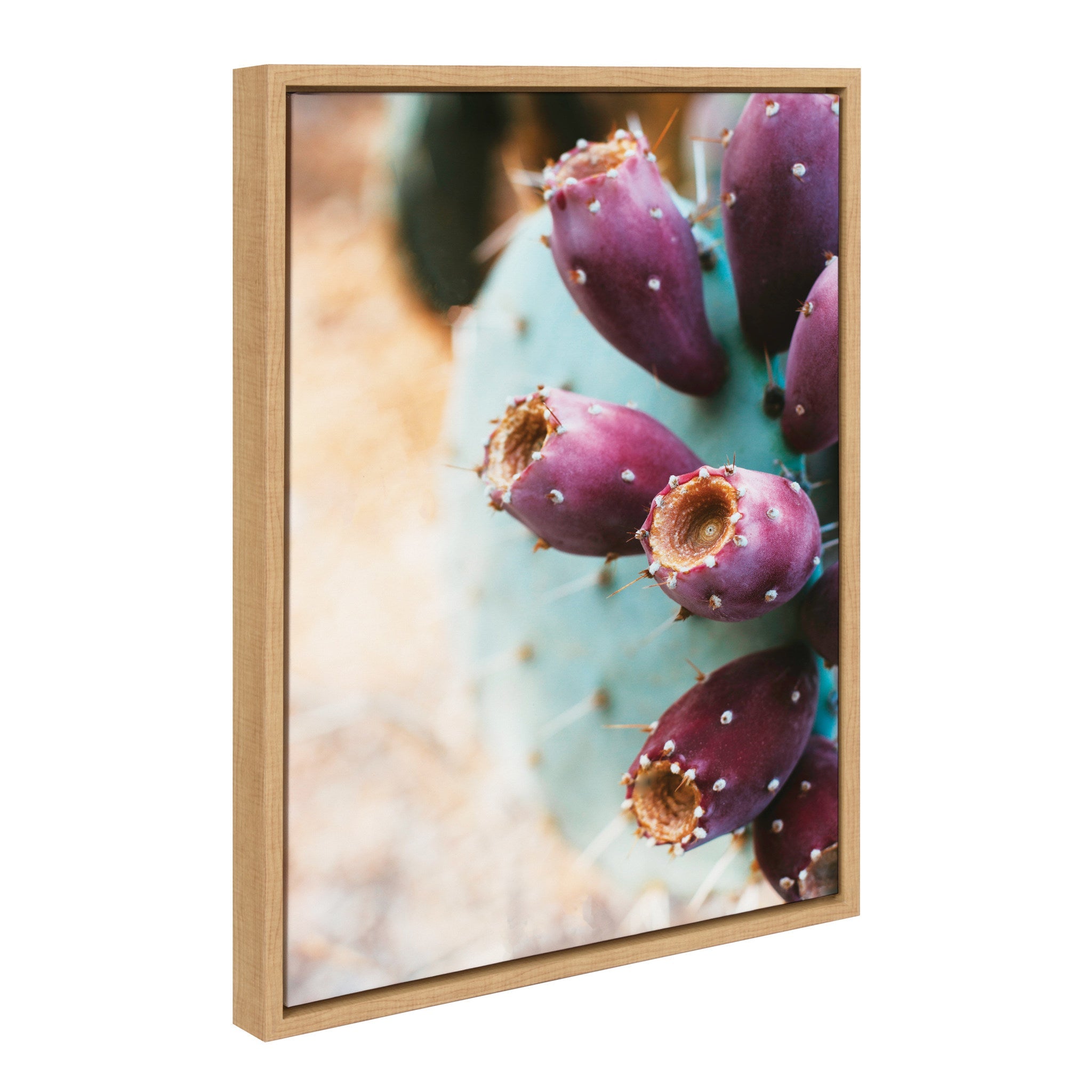 Sylvie Arizona Prickly Pear Cactus framed canvas wall art showing a green cactus on a neutral background with a modern floating frame