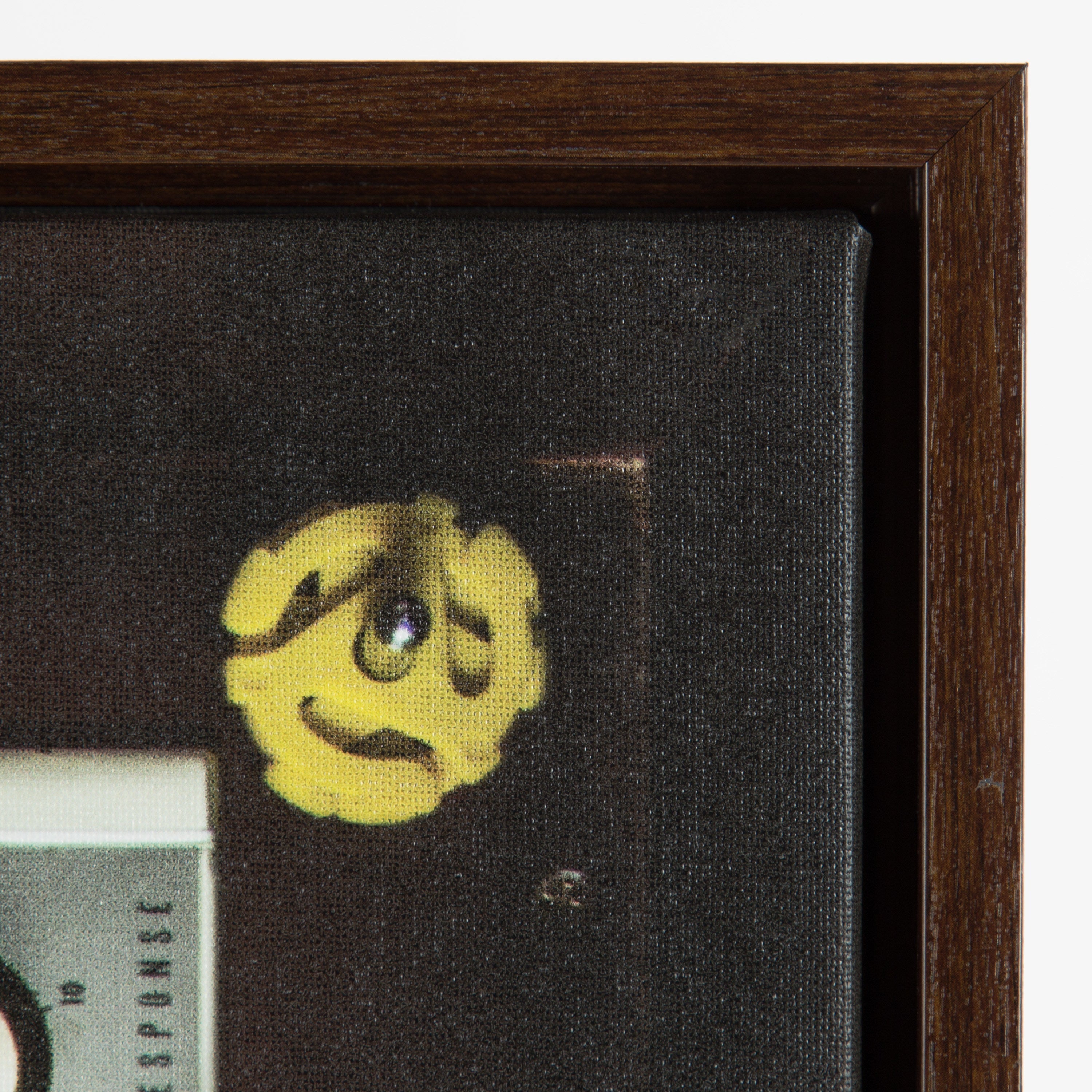 Sylvie High Fidelity Framed Canvas by kateandlaurel - product image 10 for Resin Society