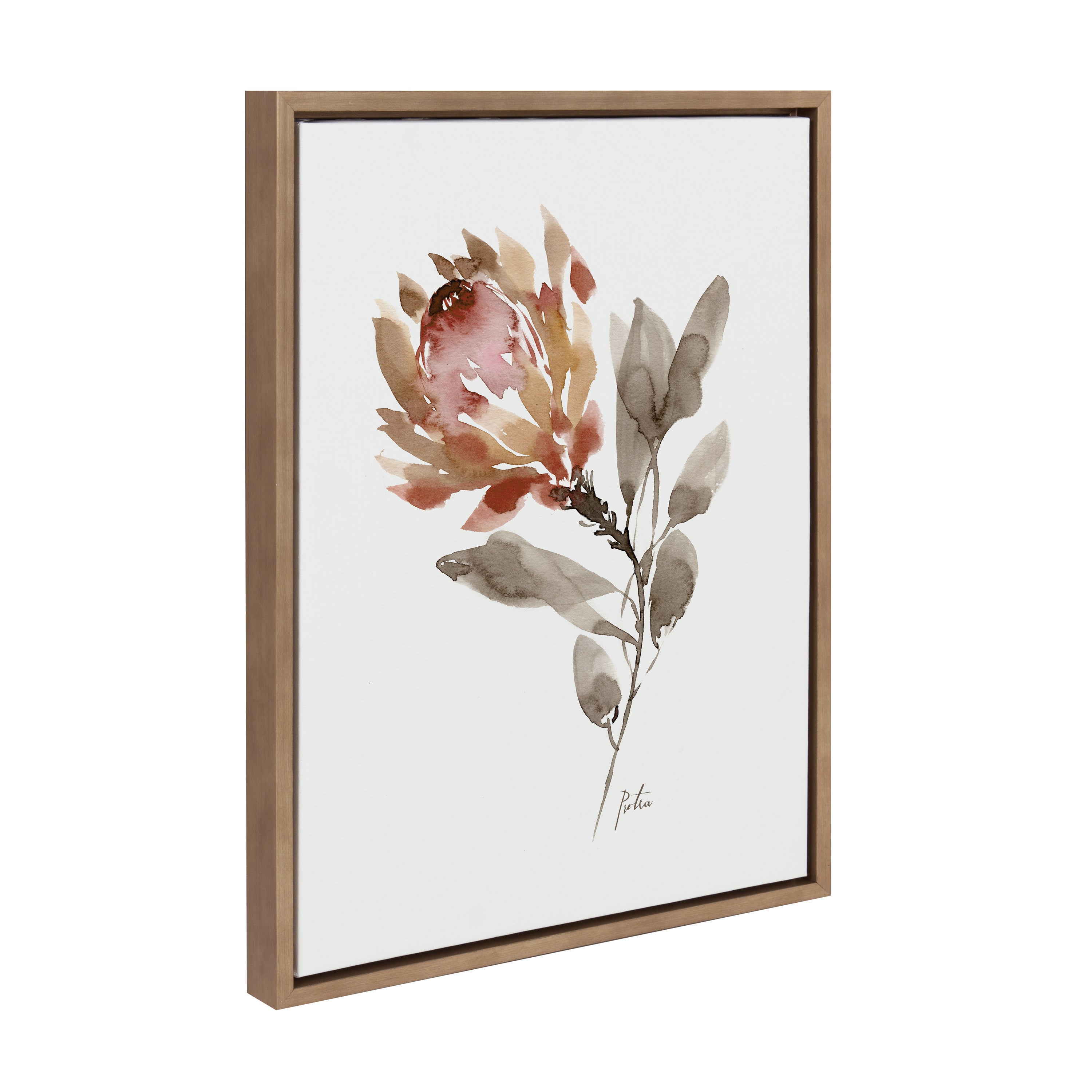 Sylvie Wild King Protea Framed Canvas by kateandlaurel - product image 13 for Resin Society