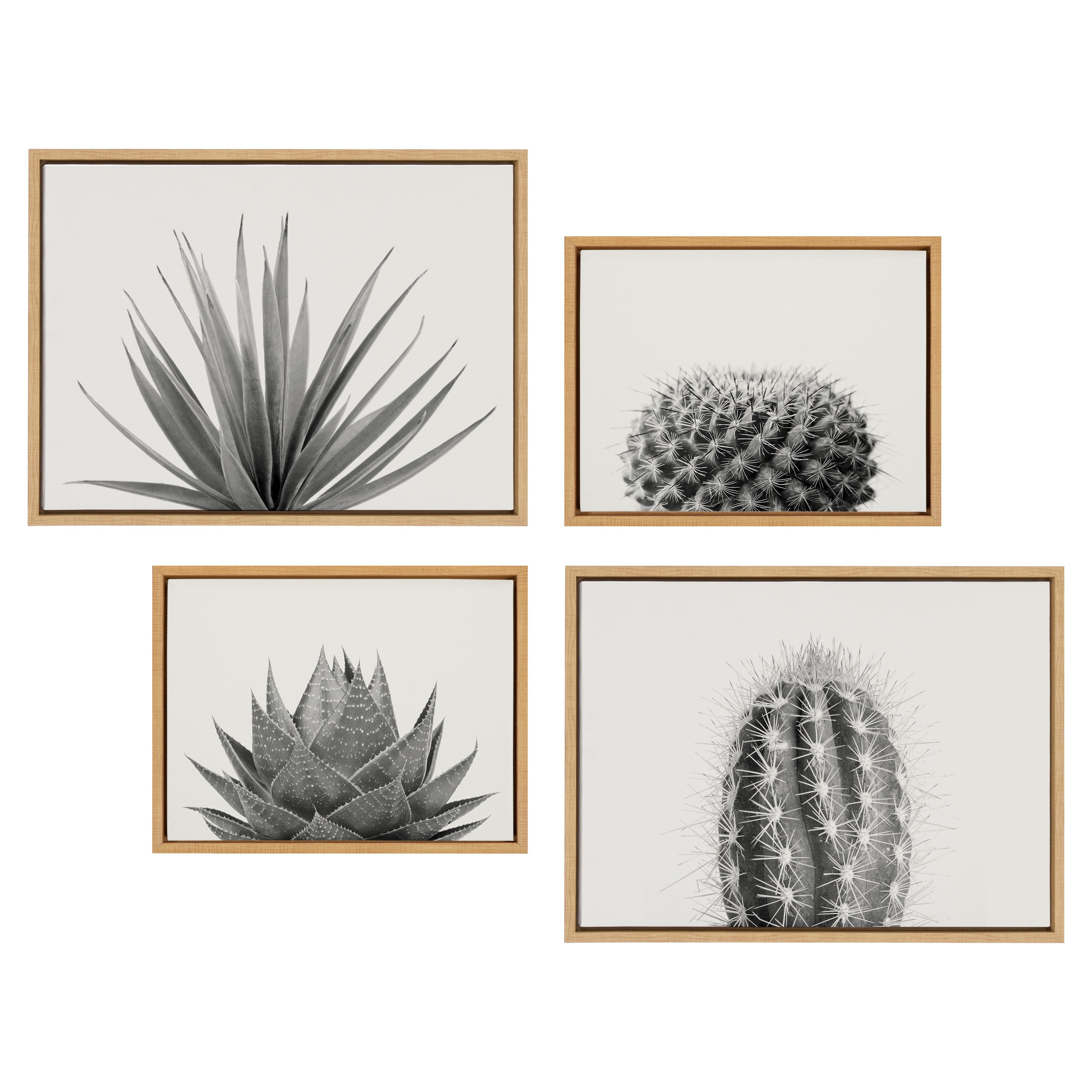Sylvie Haze Aloe Succulent, Cactus Tall, Cactus Short and Agave Succulent Framed Canvas Art Set