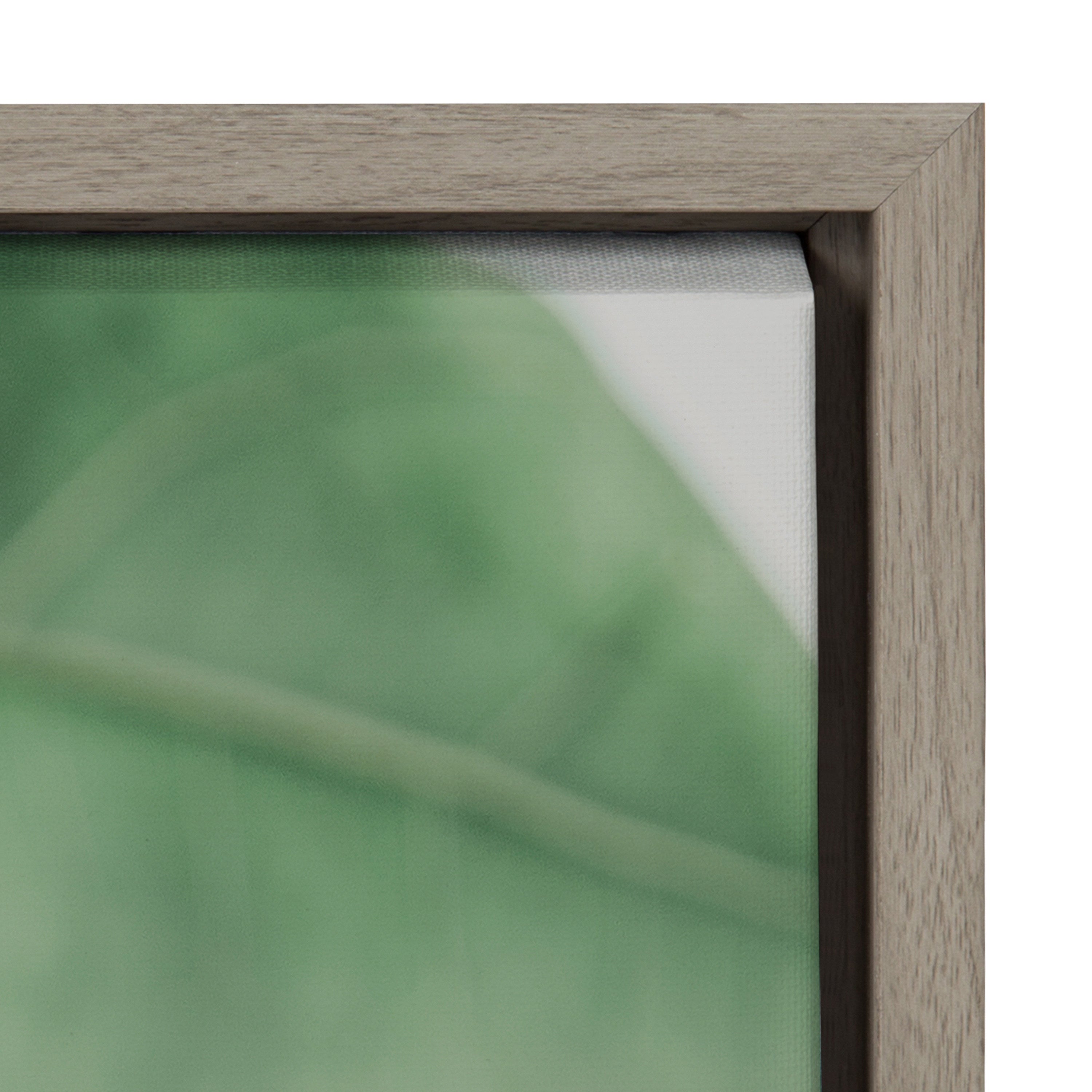 Sylvie Plant Study 6 Framed Canvas by kateandlaurel - product image 11 for Resin Society