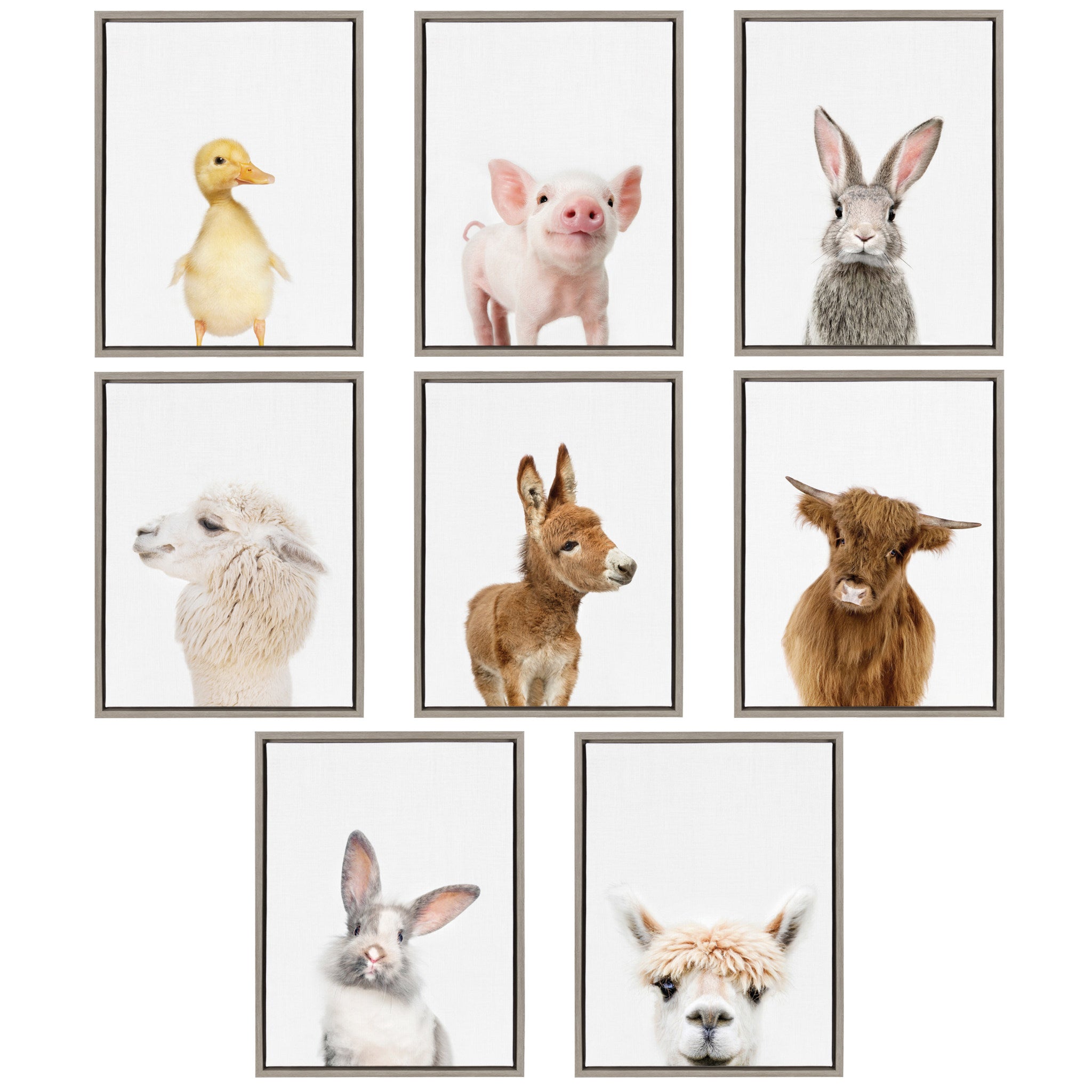 Sylvie Animal Studio Burro Framed Canvas by Amy Peterson Art Studio