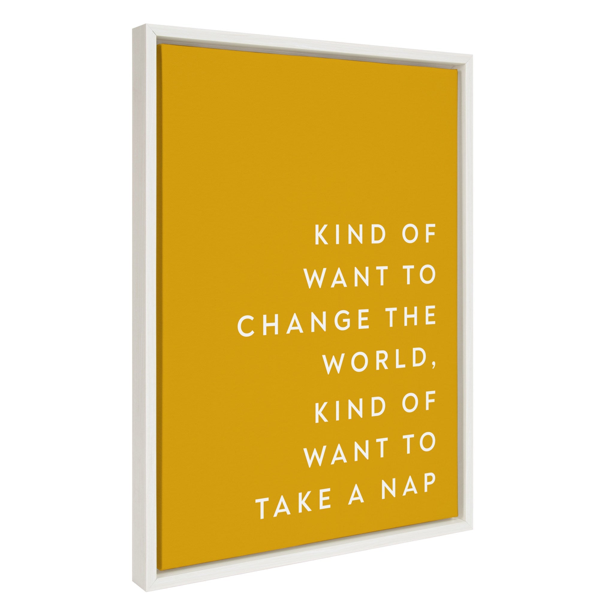 Sylvie Change the World Nap Framed Canvas by kateandlaurel - product image 2 for Resin Society