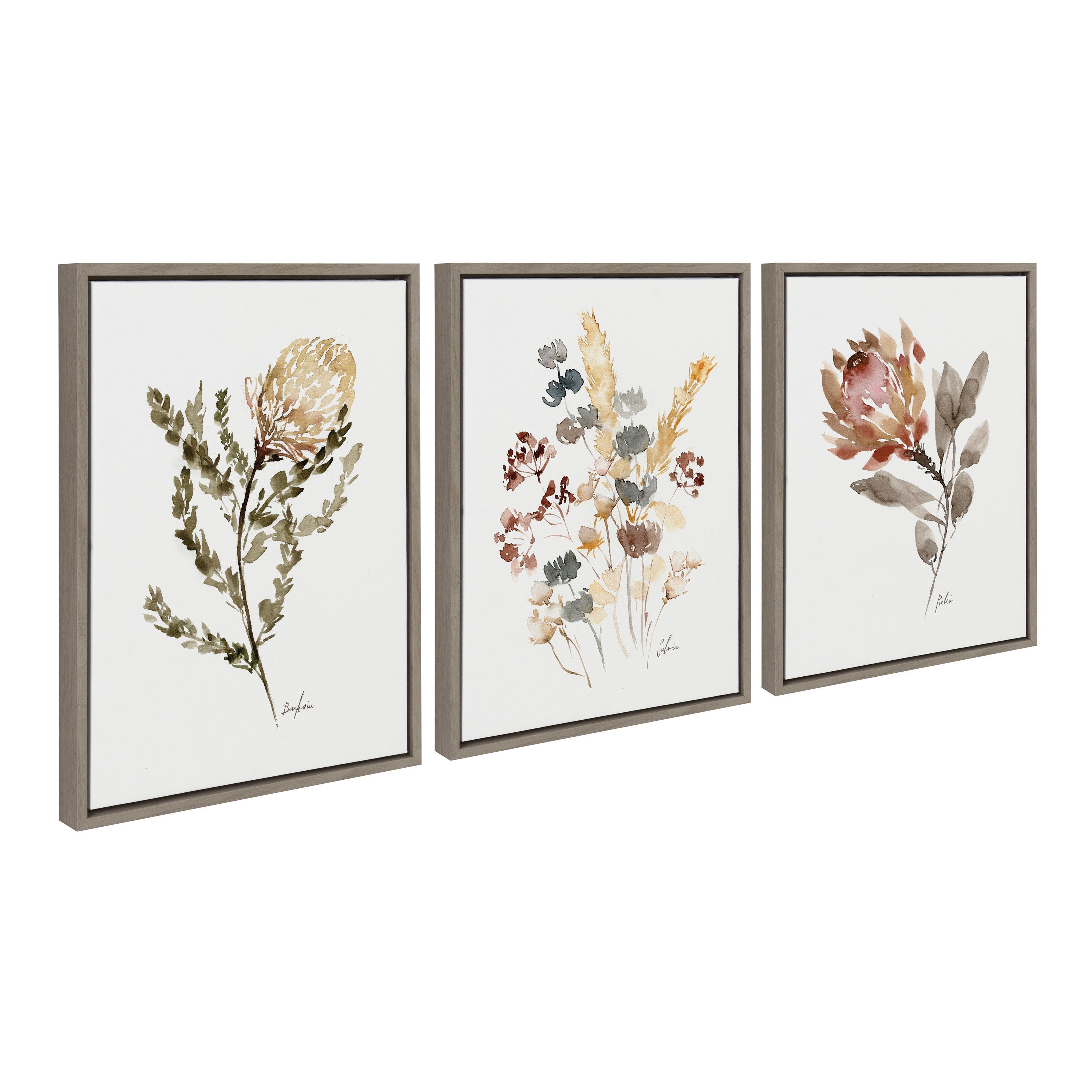Sylvie Wild Banksia Wild Salvia and Wild King Protea Framed Canvas by kateandlaurel - product image 7 for Resin Society