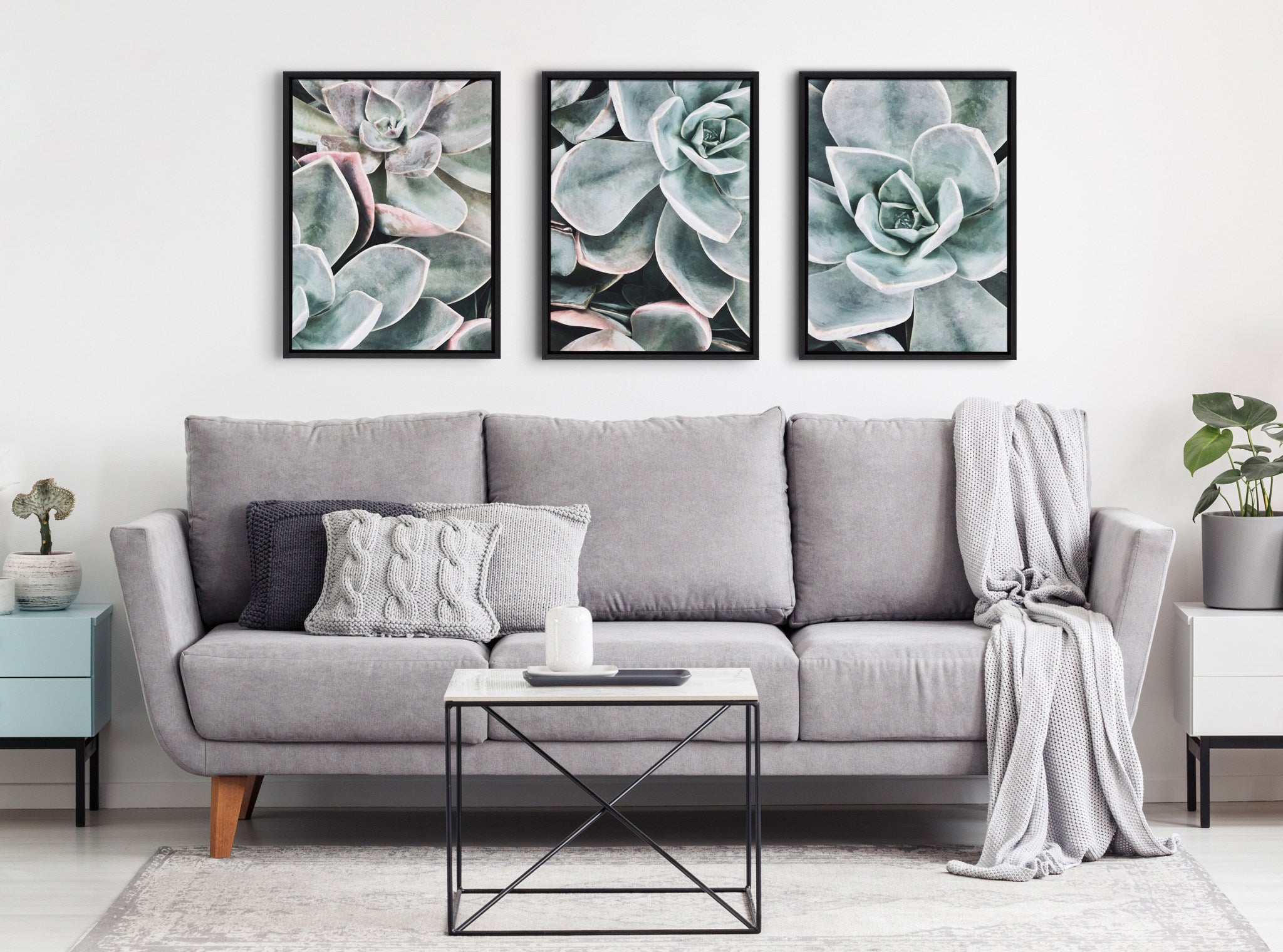 Sylvie Botanical Succulent Plants Framed Canvas Set by The Creative by kateandlaurel - product image 7 for Resin Society