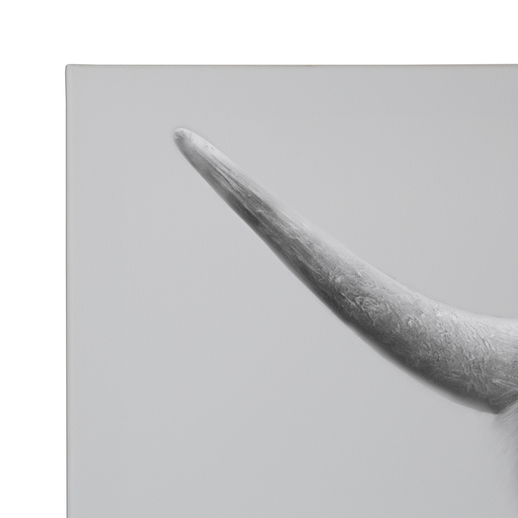 Hey Dude Highland Cow Gray Canvas by The Creative Bunch Studio by kateandlaurel - product image 3 for Resin Society