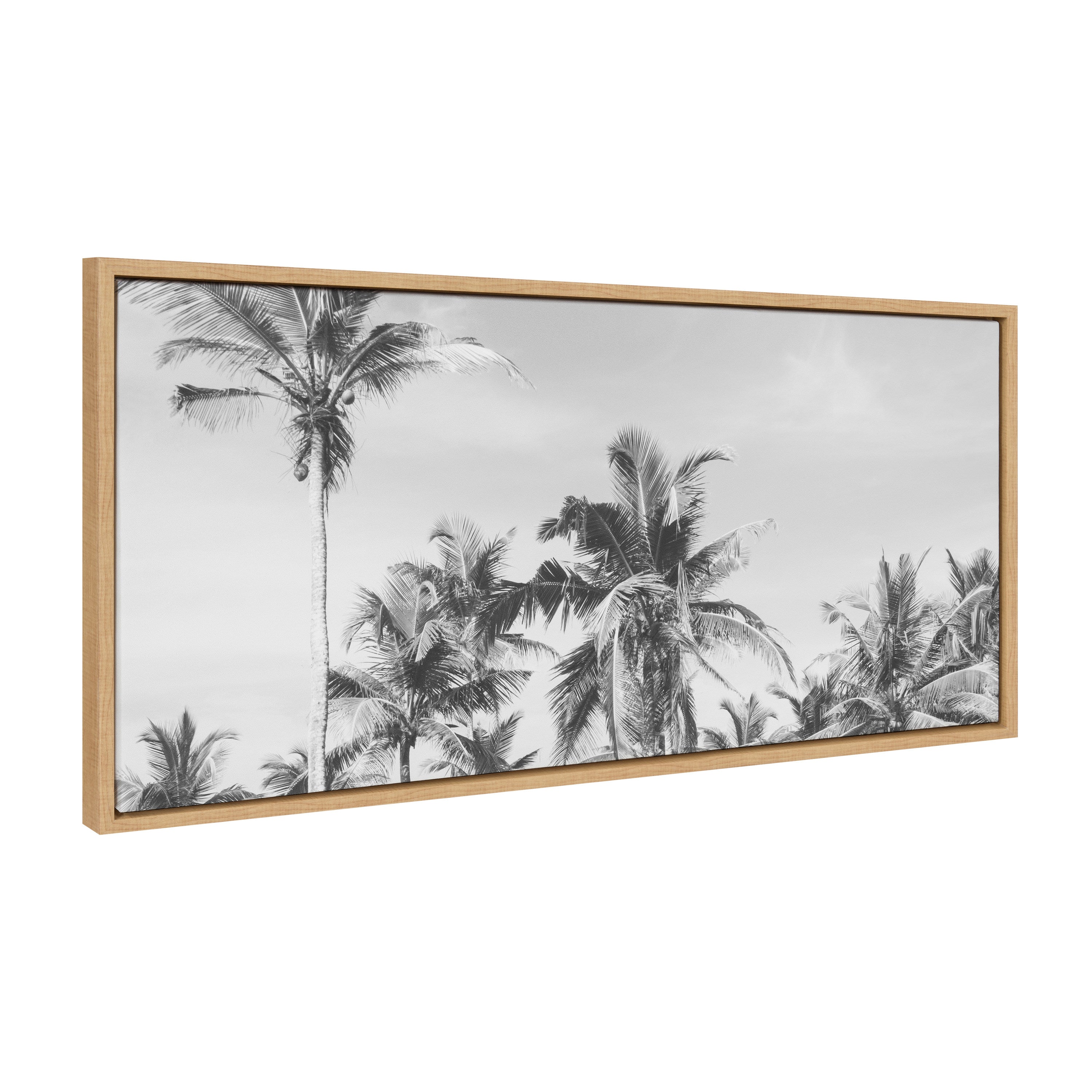 Sylvie Coastal Coconut Palm Tree Beach BW Framed Canvas by kateandlaurel - product image 7 for Resin Society