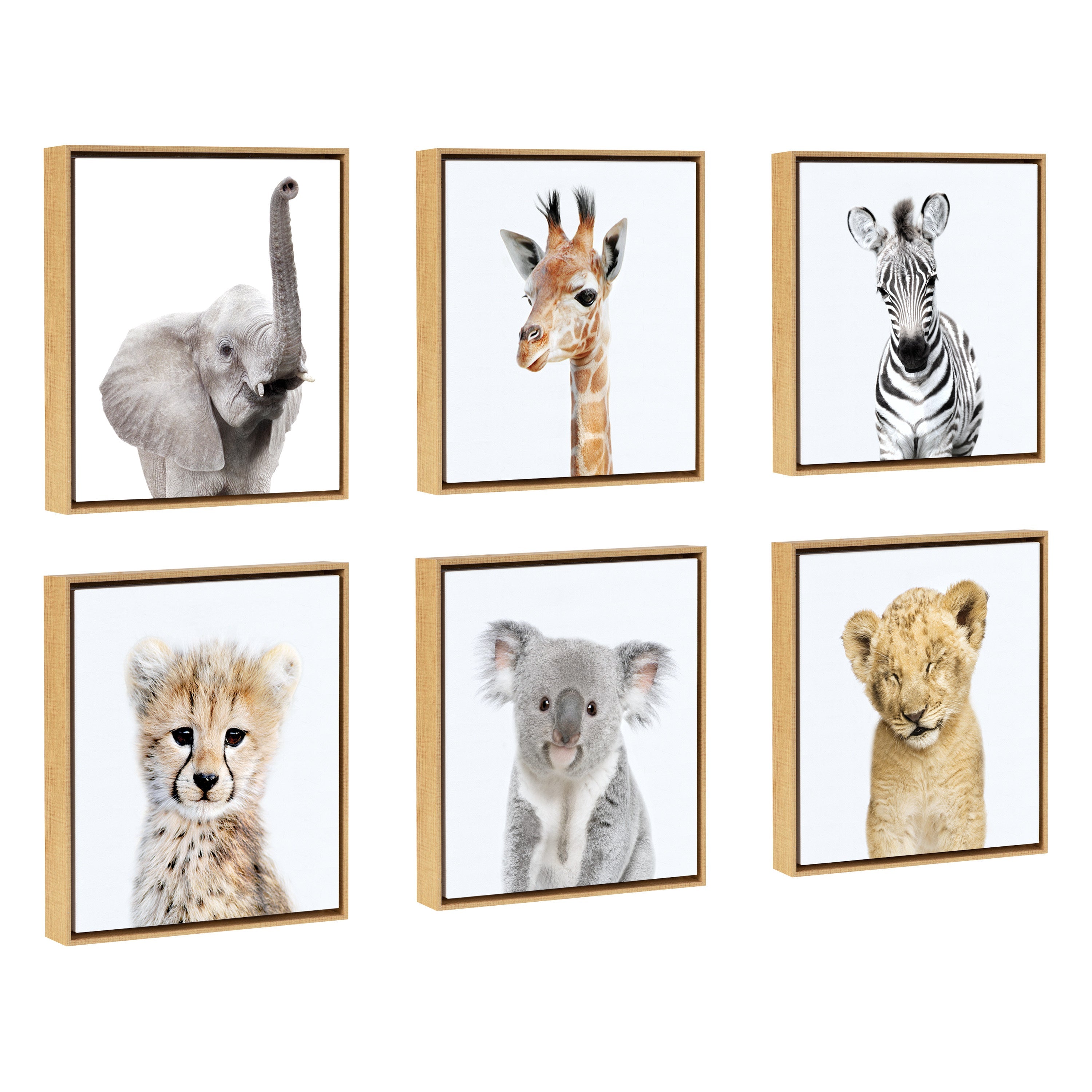 Sylvie Safari Animal Framed Canvas Art Set by Amy Peterson by kateandlaurel - product image 2 for Resin Society