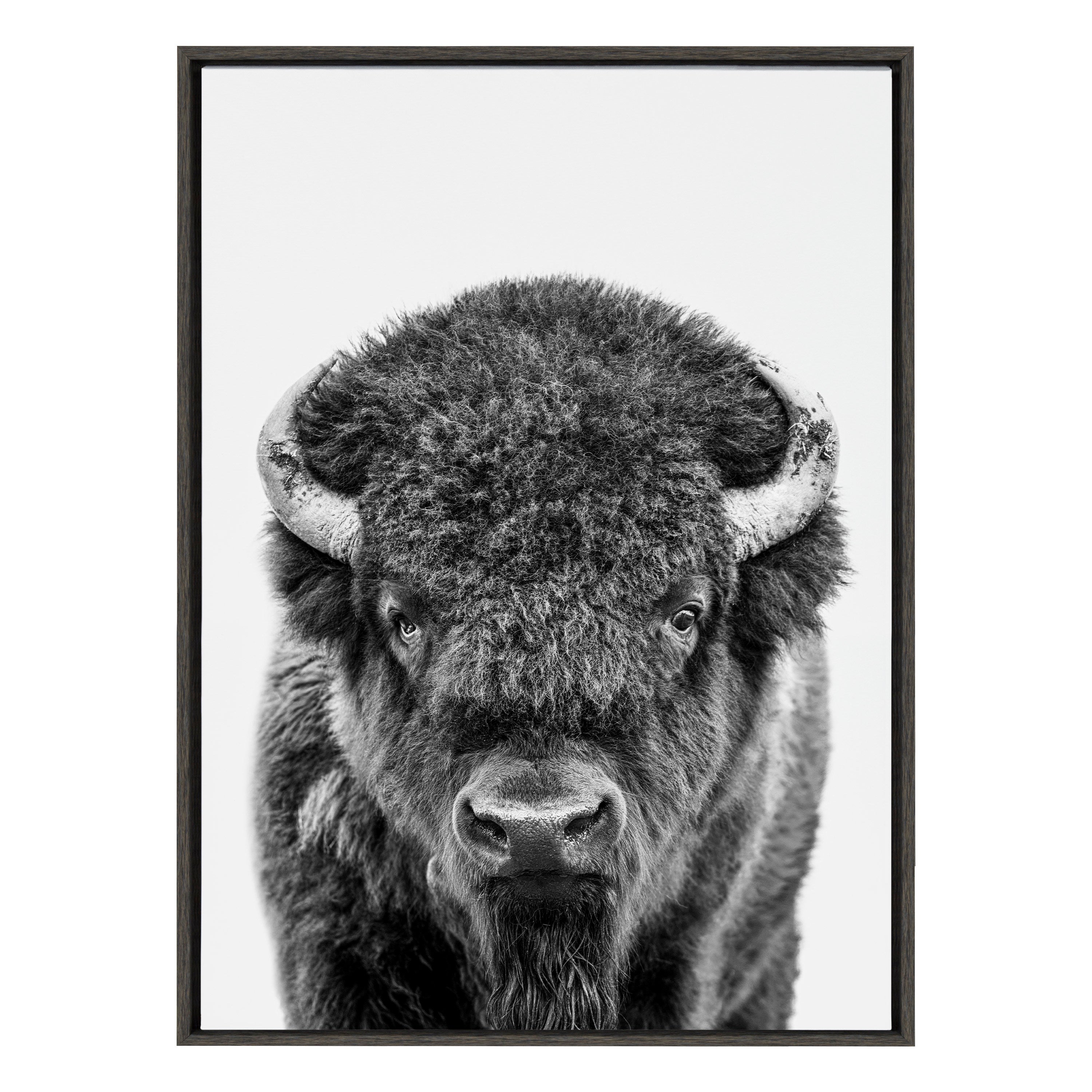 Sylvie Bison Portrait Black and White Framed Canvas by Amy Peterson Art Studio