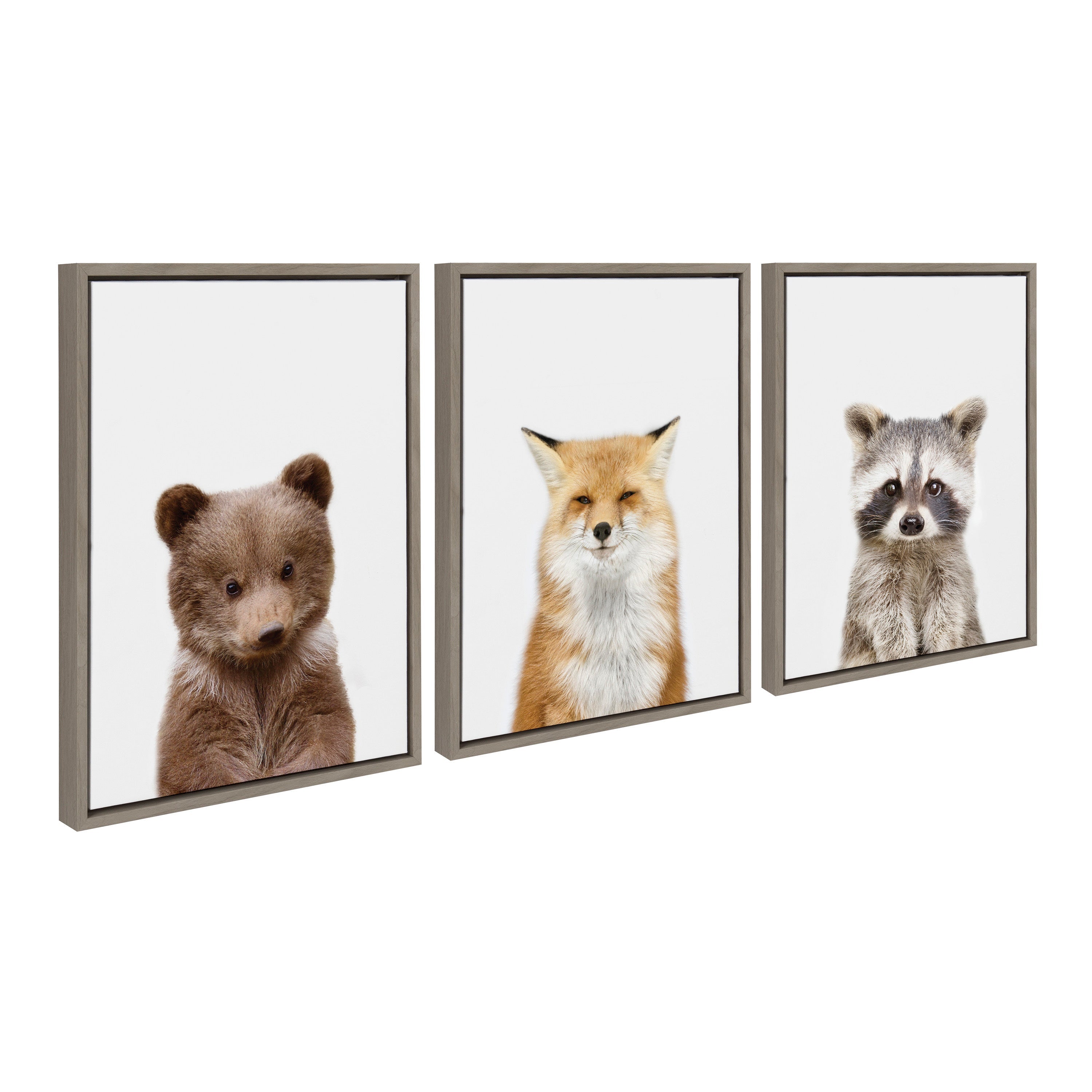 Sylvie Studio Bear, Studio Fox and Studio Raccoon Framed Canvas by kateandlaurel - product image 7 for Resin Society