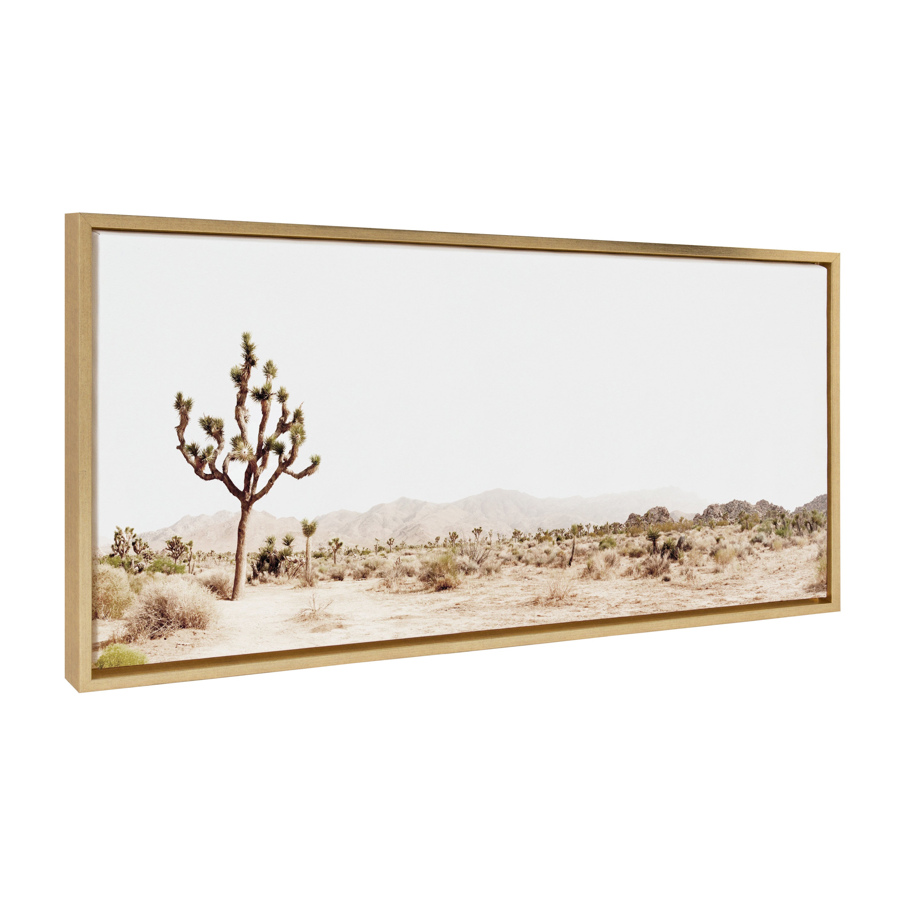 Sylvie Lone Joshua Tree Framed Canvas by Amy Peterson Art Studio by kateandlaurel - product image 12 for Resin Society