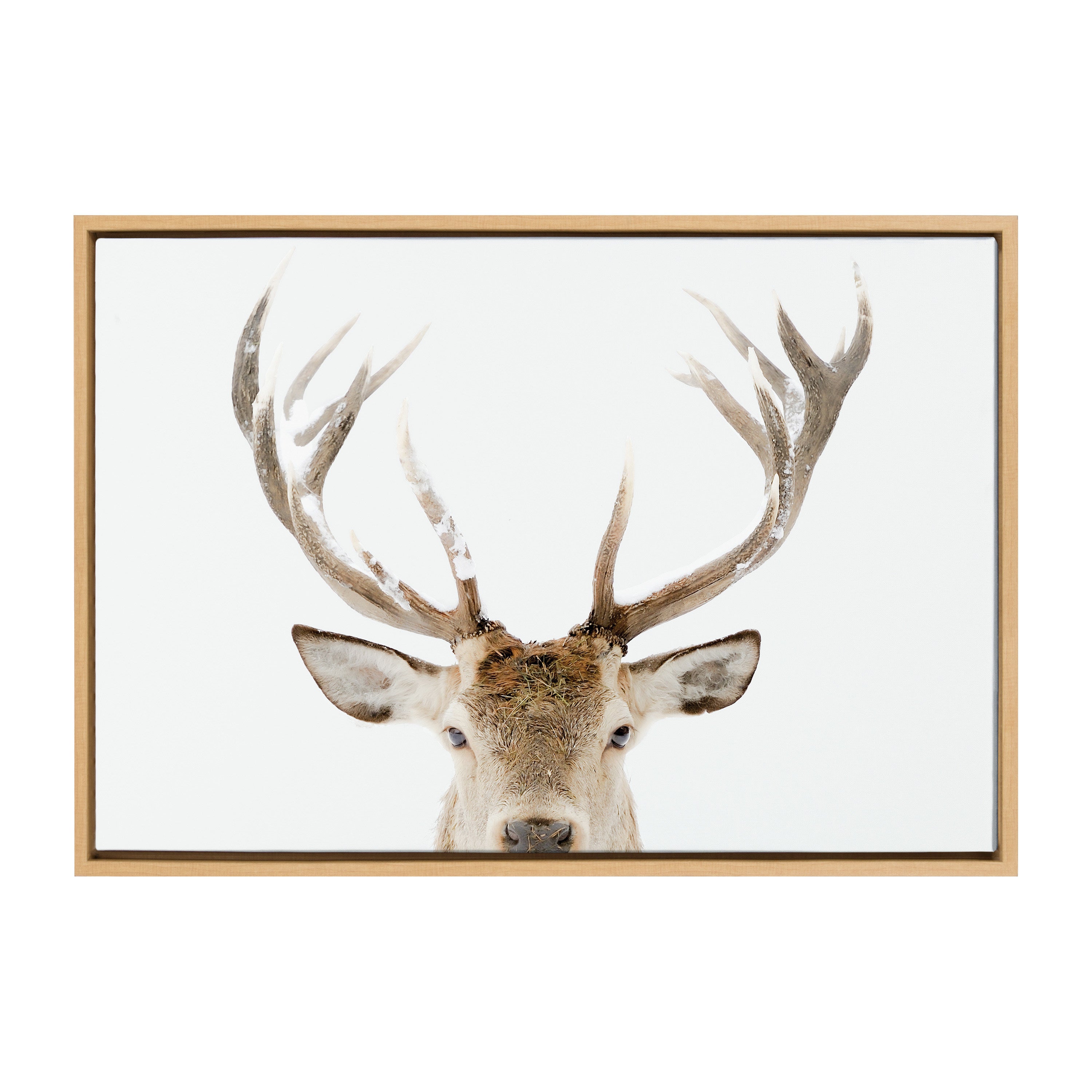 Sylvie Stag Peekaboo Framed Canvas by Amy Peterson Art Studio