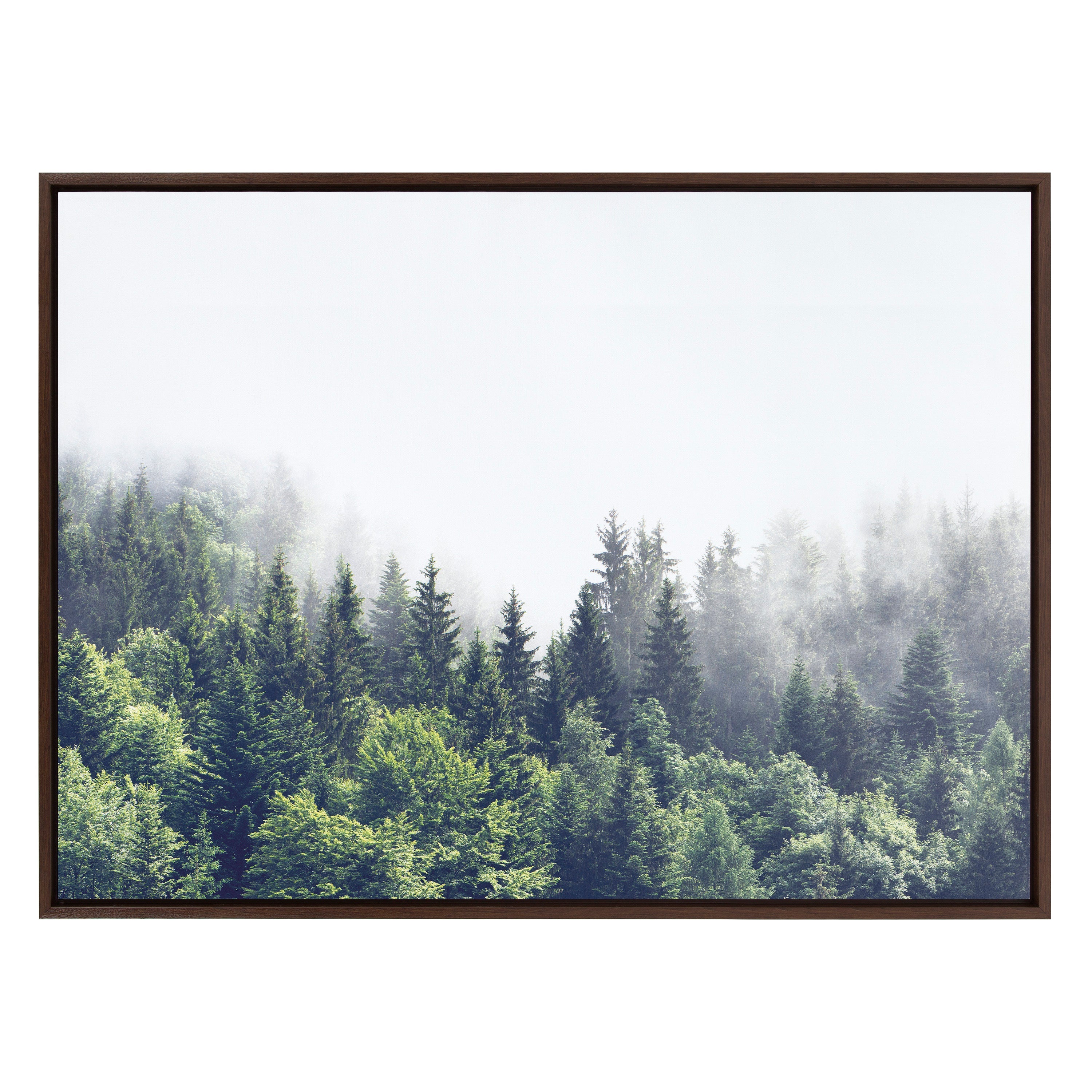 Sylvie Lush Green Forest On A Foggy Day Framed Canvas by kateandlaurel - product image 8 for Resin Society