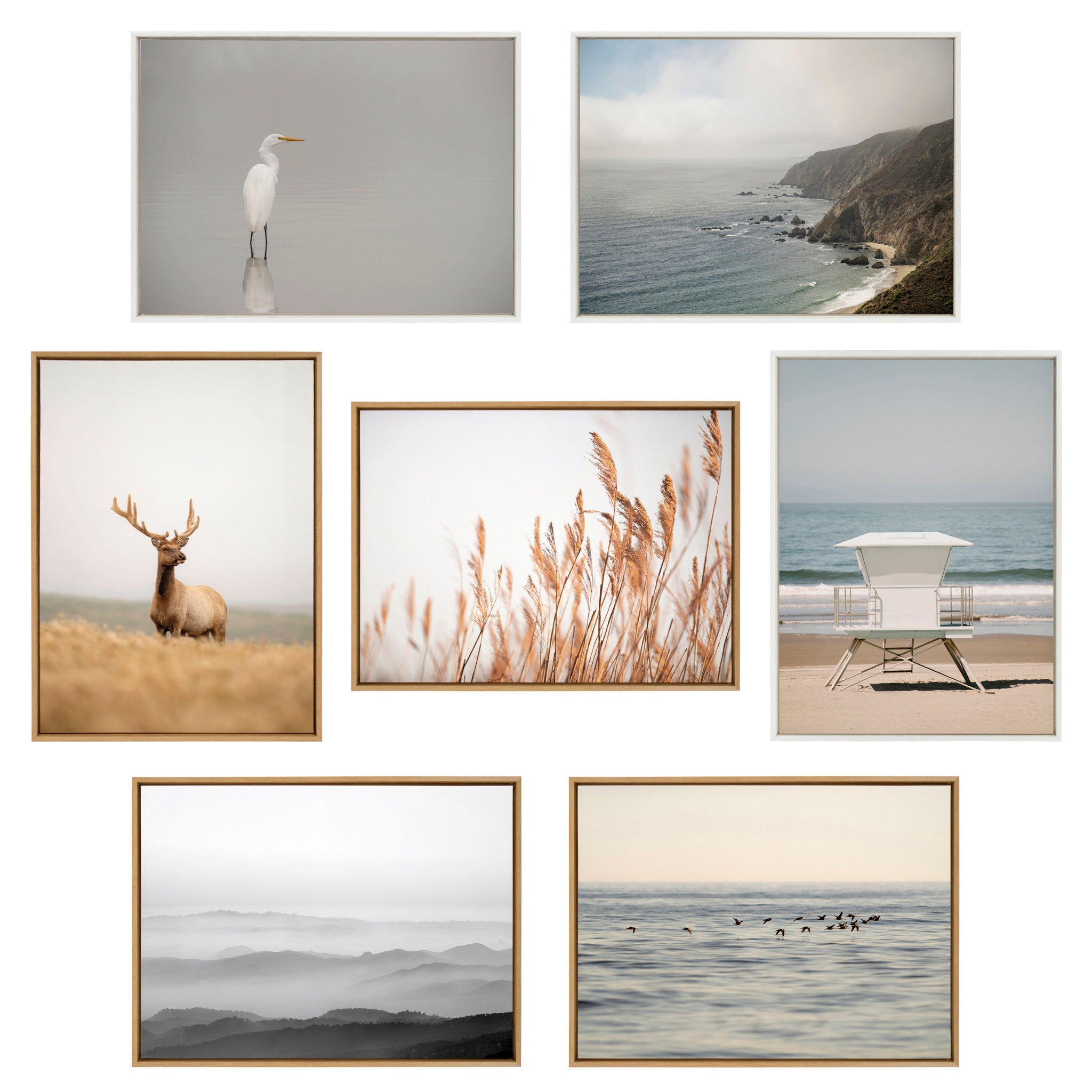Sylvie Pelican No 1 Framed Canvas by Crystal Lynn Collins