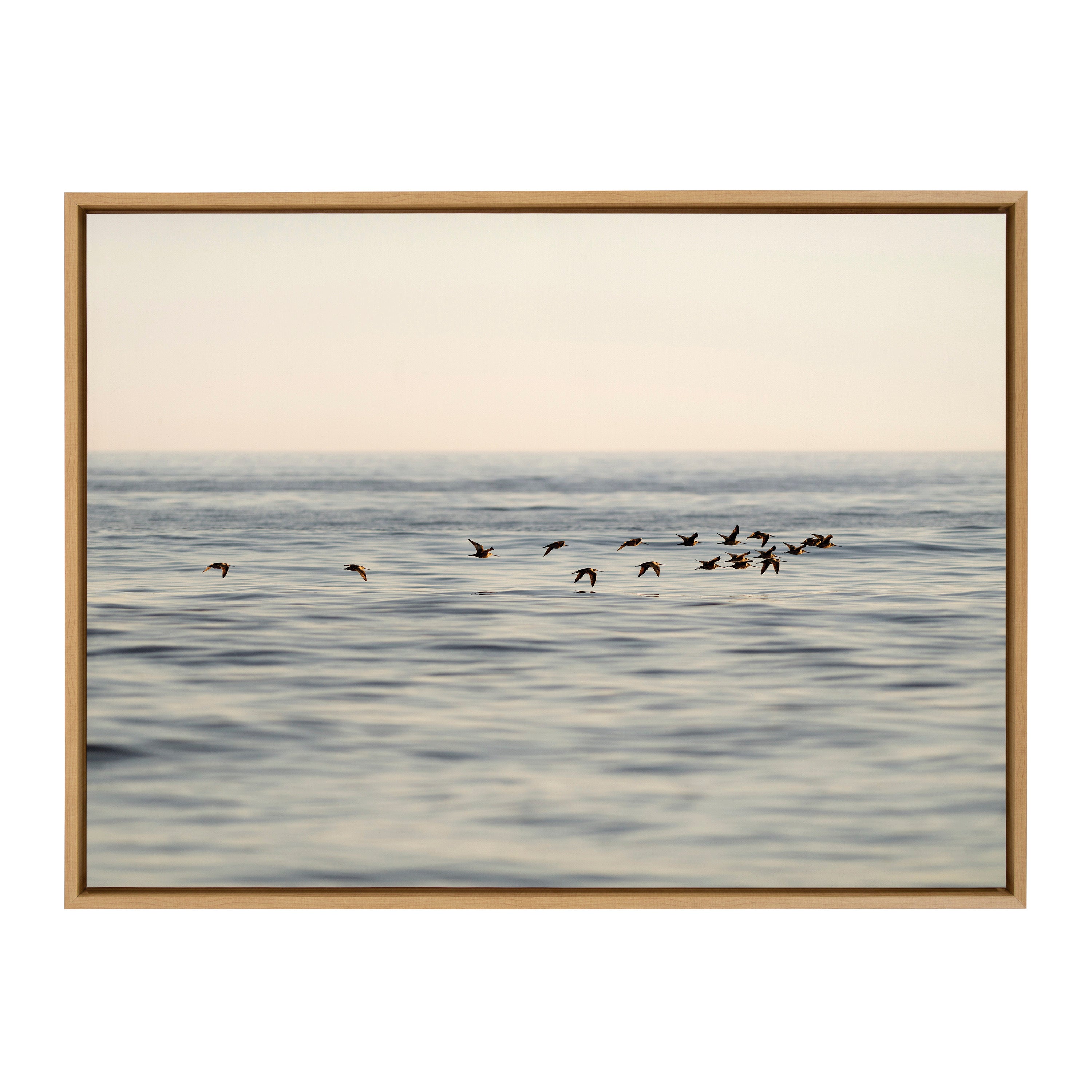 Sylvie Birds of a Feather Framed Canvas by kateandlaurel - product image 8 for Resin Society