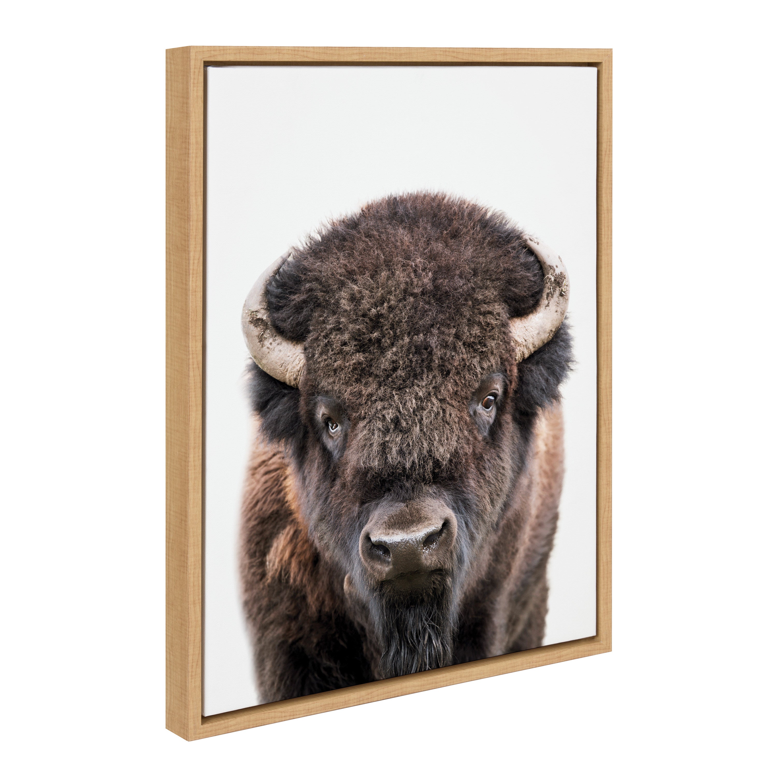 Sylvie Bison Portrait Framed Canvas by Amy Peterson Art Studio