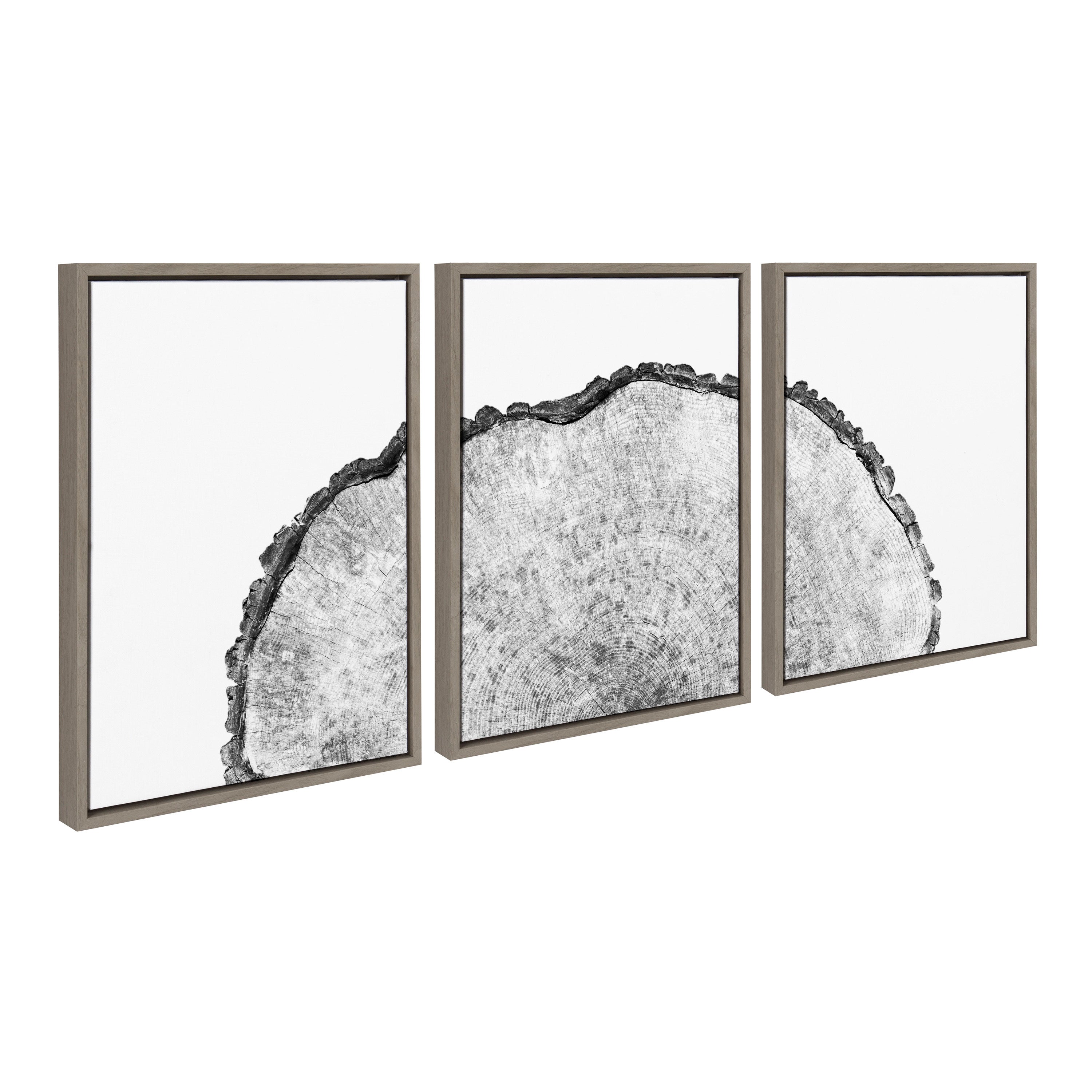 Sylvie Tree Rings Set Framed Canvas by kateandlaurel - product image 7 for Resin Society