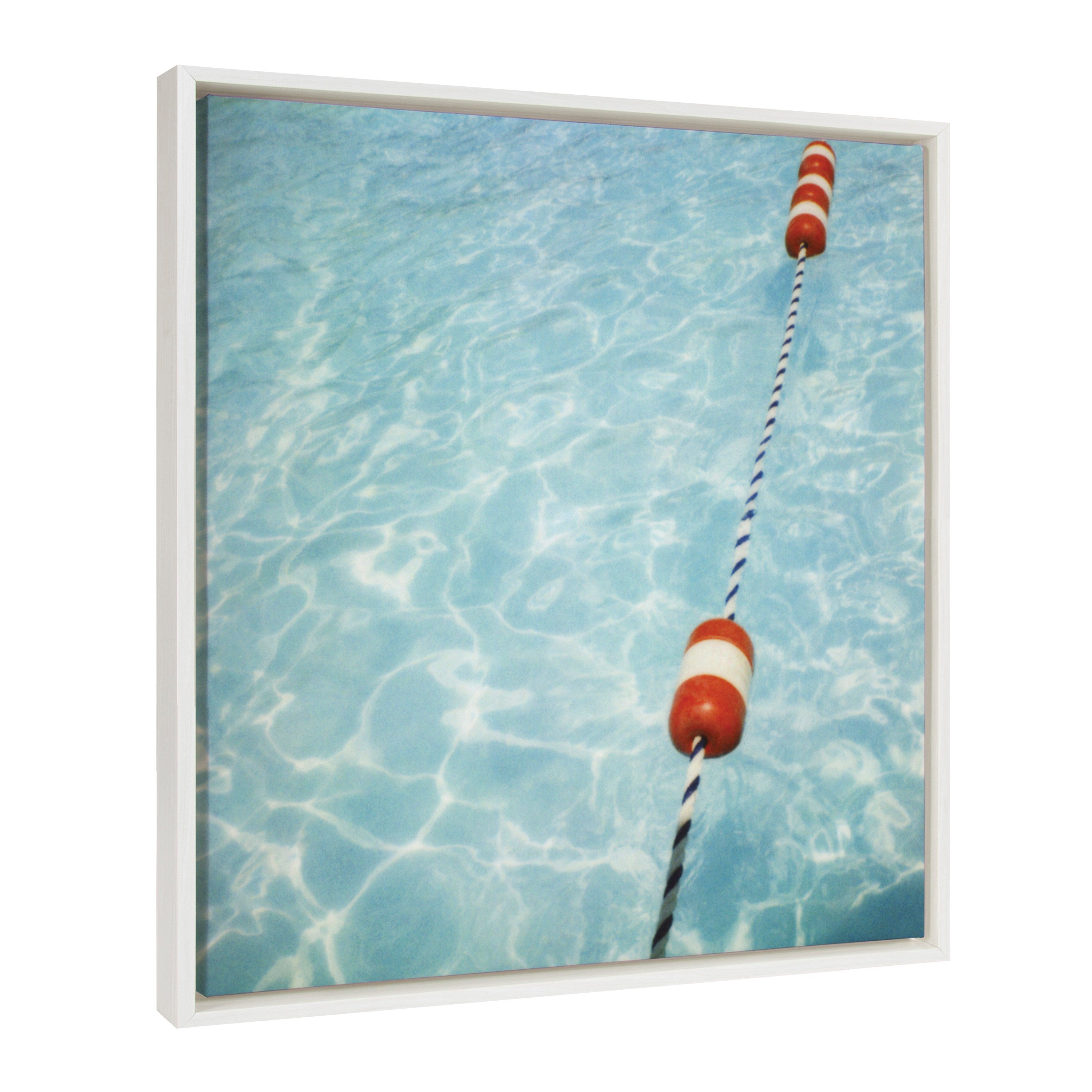 Sylvie Ropes Framed Canvas by Alicia Bock