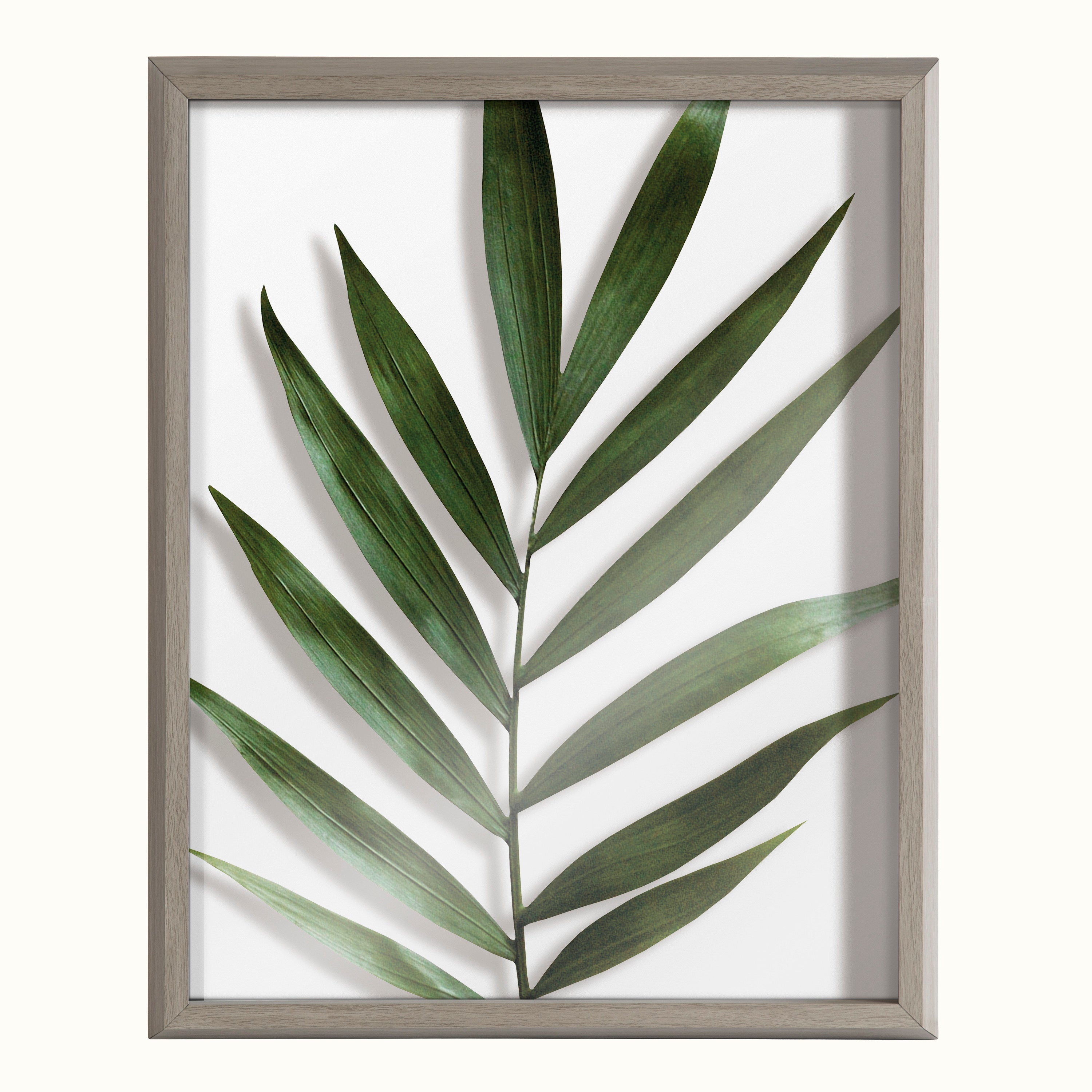 Blake Botanical 5F Framed Printed Glass by Amy Peterson by kateandlaurel - product image 20 for Resin Society