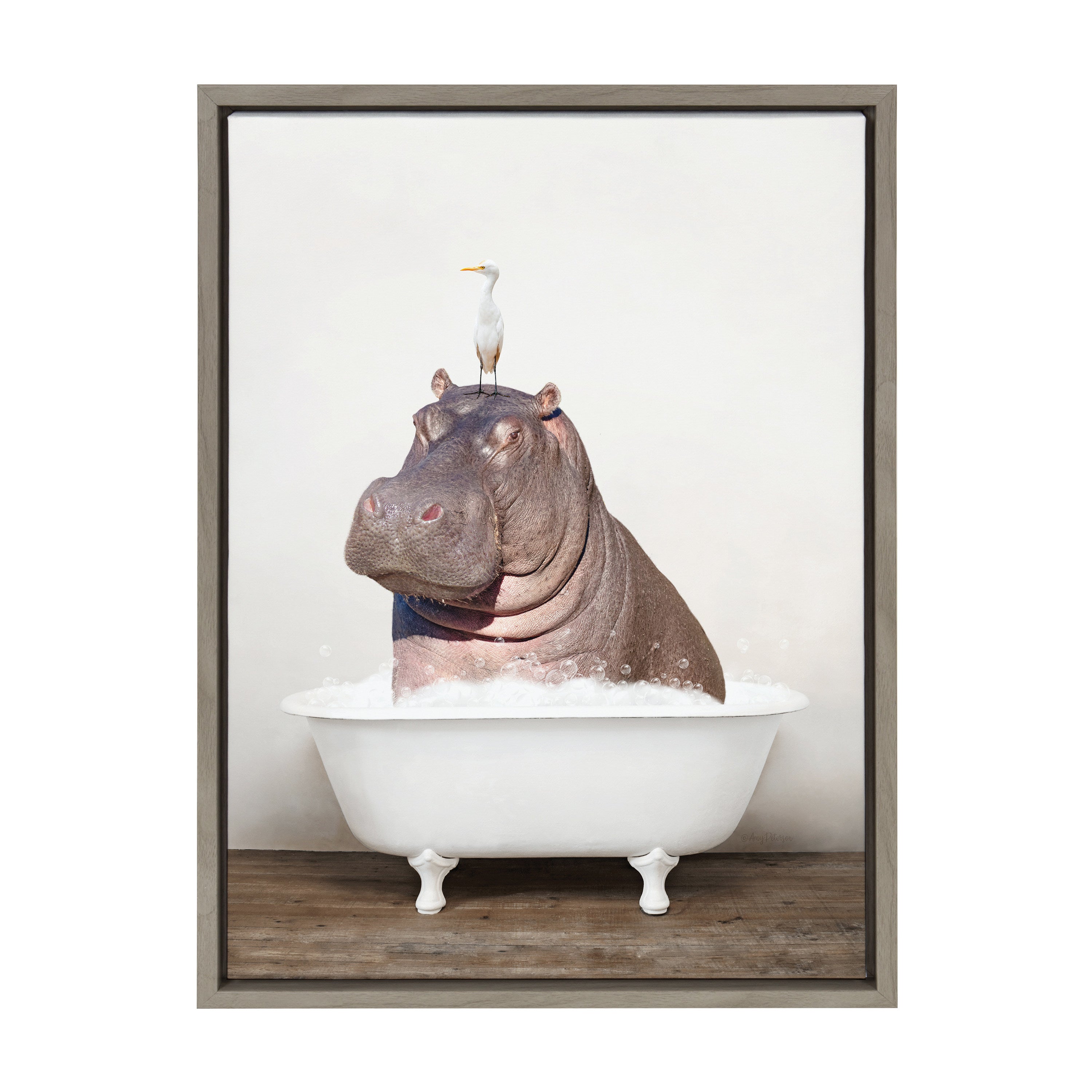 Sylvie Hippo and Bird in Rustic Bath Framed Canvas by kateandlaurel - product image 2 for Resin Society