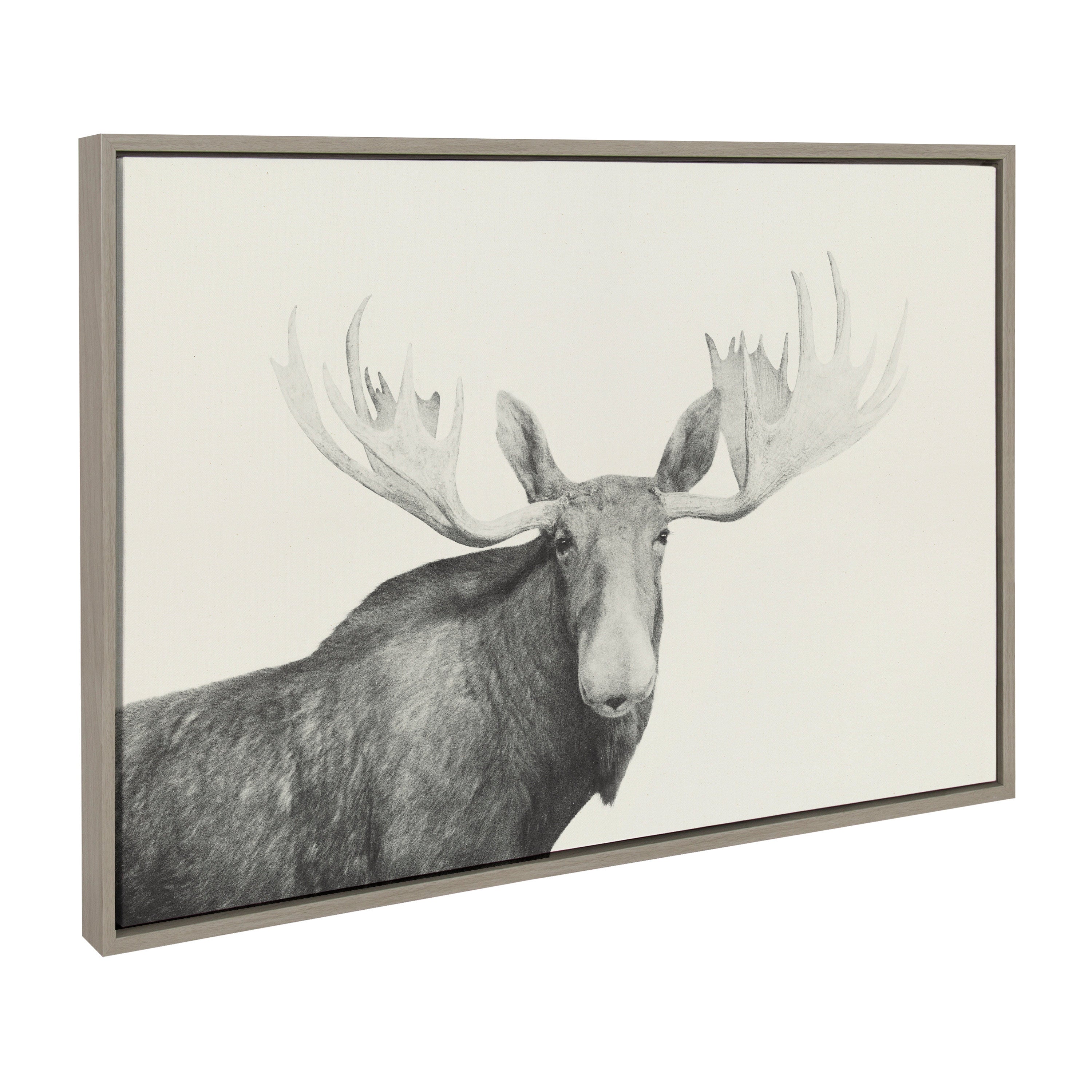 Sylvie Moose 2 crop BW Framed Canvas by kateandlaurel - product image 2 for Resin Society