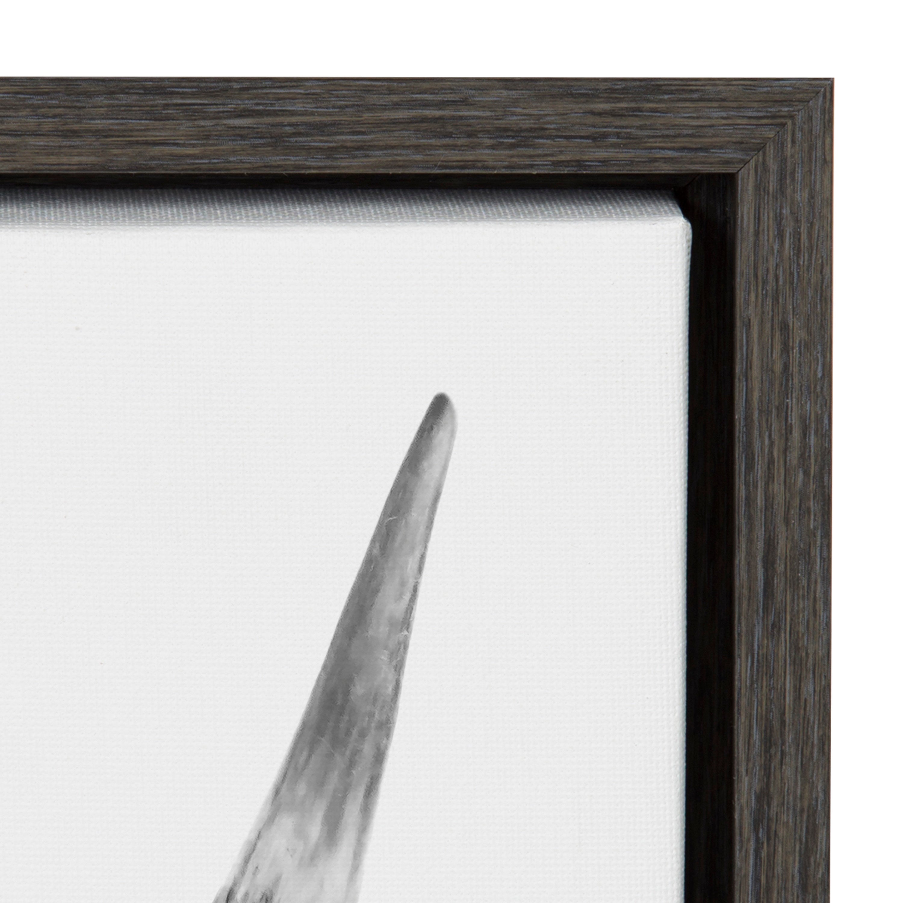 Sylvie Highland Cow Portrait Framed Canvas by Amy Peterson Art Studio by kateandlaurel - product image 8 for Resin Society