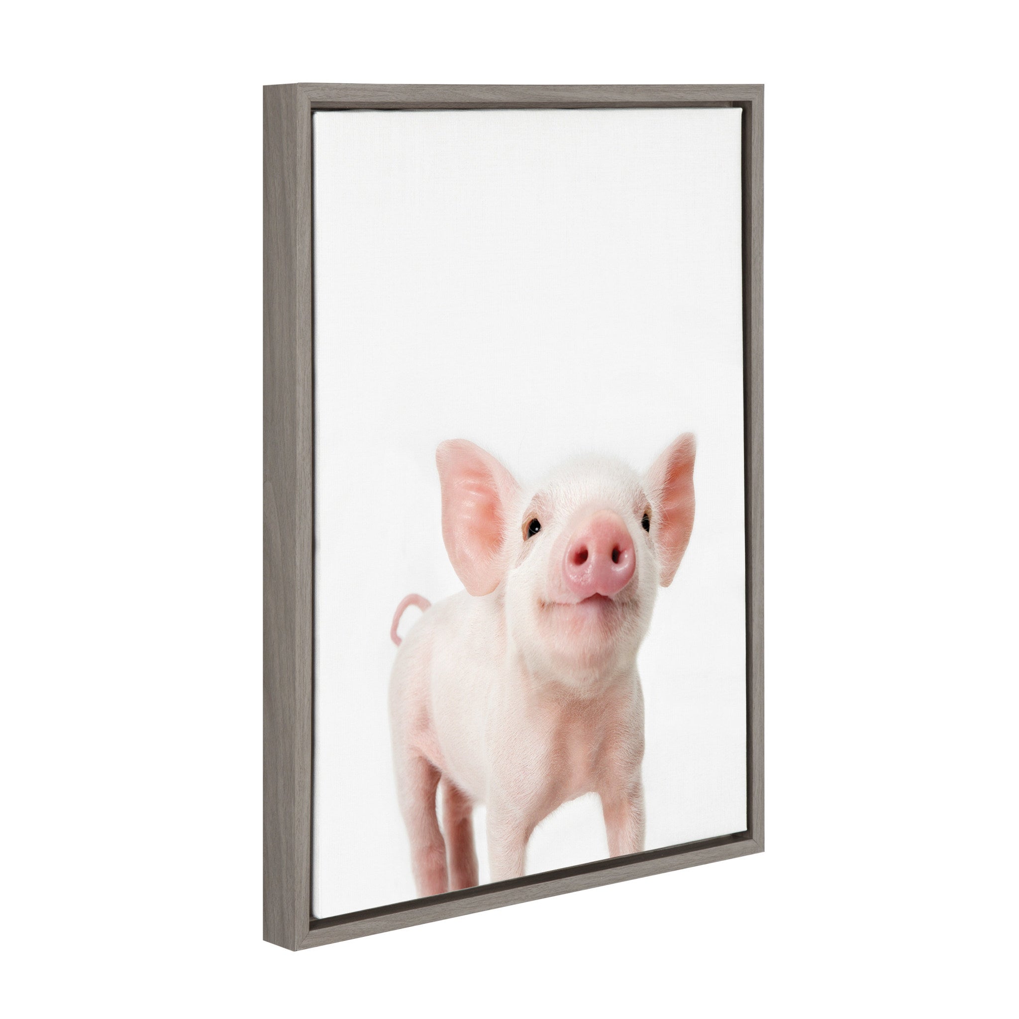 Sylvie Animal Studio Piglet Framed Canvas by kateandlaurel - product image 2 for Resin Society