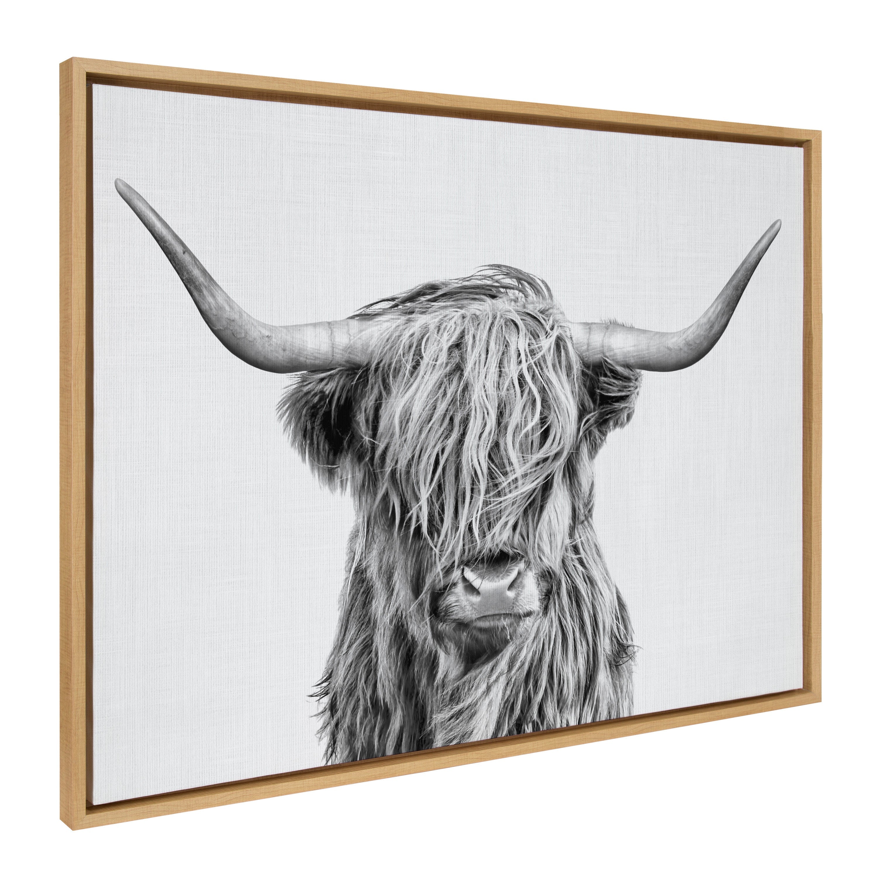 Sylvie Highland Cow 2 Framed Canvas by kateandlaurel - product image 19 for Resin Society