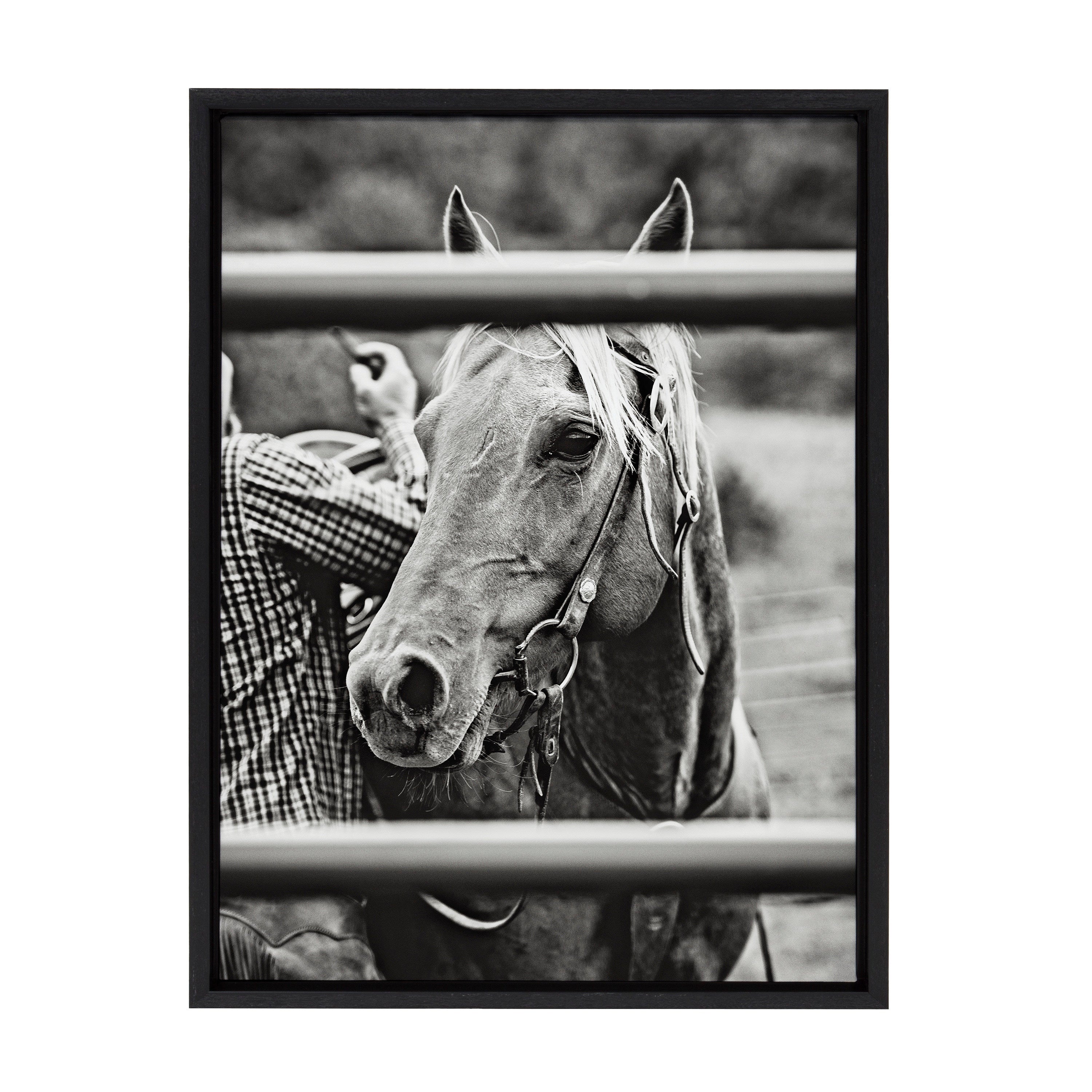 Sylvie Photo Saddling Horse Framed Canvas by The Whiskey Ginger