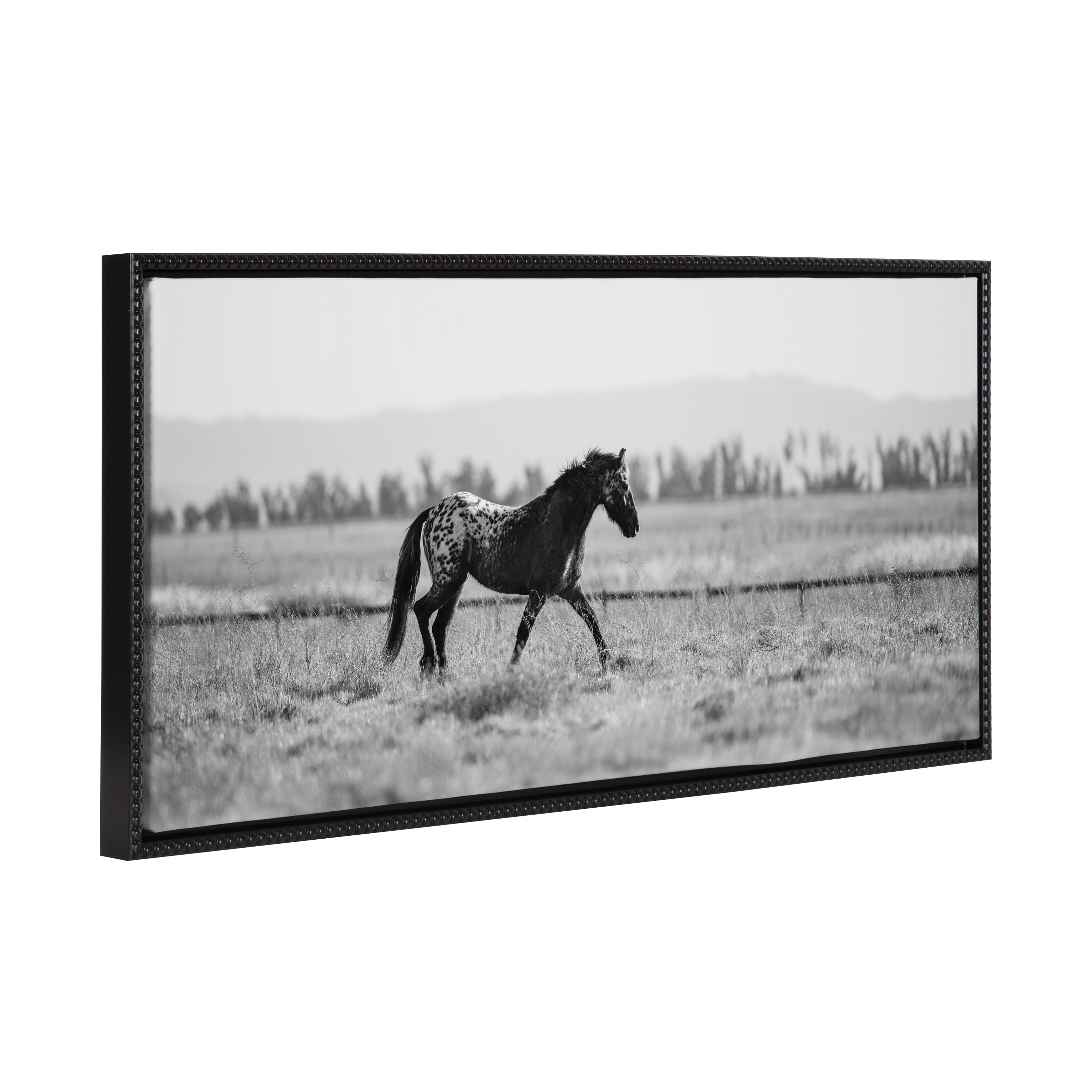 Black and white framed canvas print of a horse portrait by Crystal Lynn Collins
