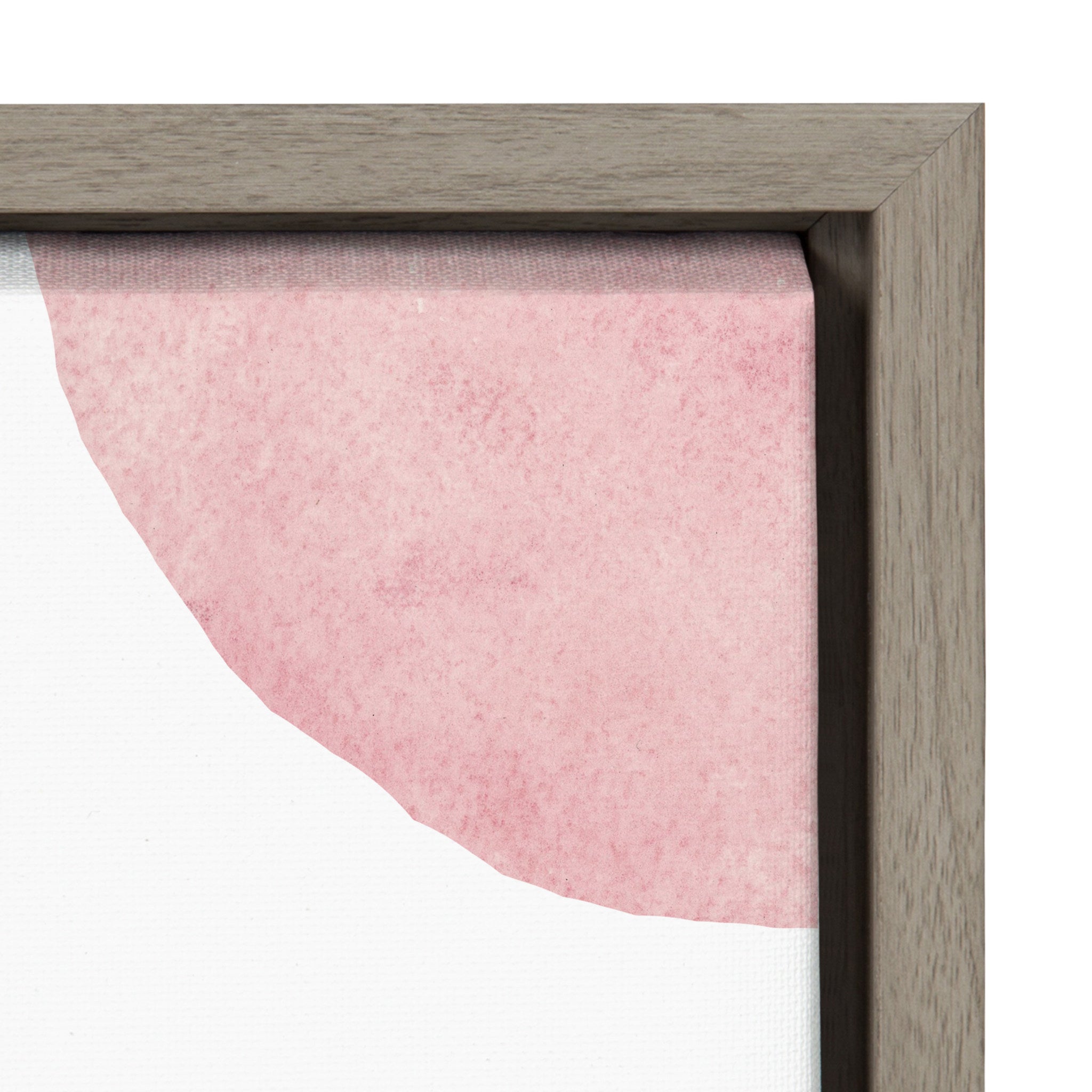 Sylvie Dreamy Parakeet Framed Canvas by kateandlaurel - product image 3 for Resin Society