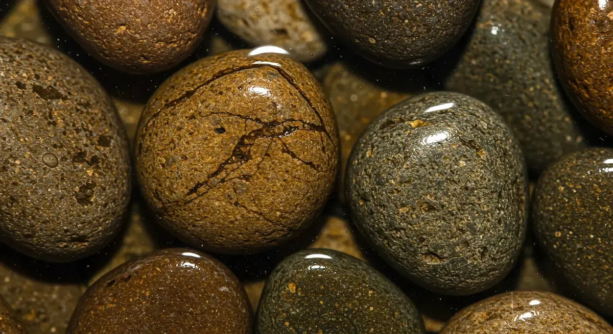 Close-up of smooth, wet river rocks in varying shades of brown and gray, displaying natural textures and subtle patterns with a reflective surface.