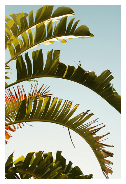 Alicia Bock Print Shop collection at Resin Society