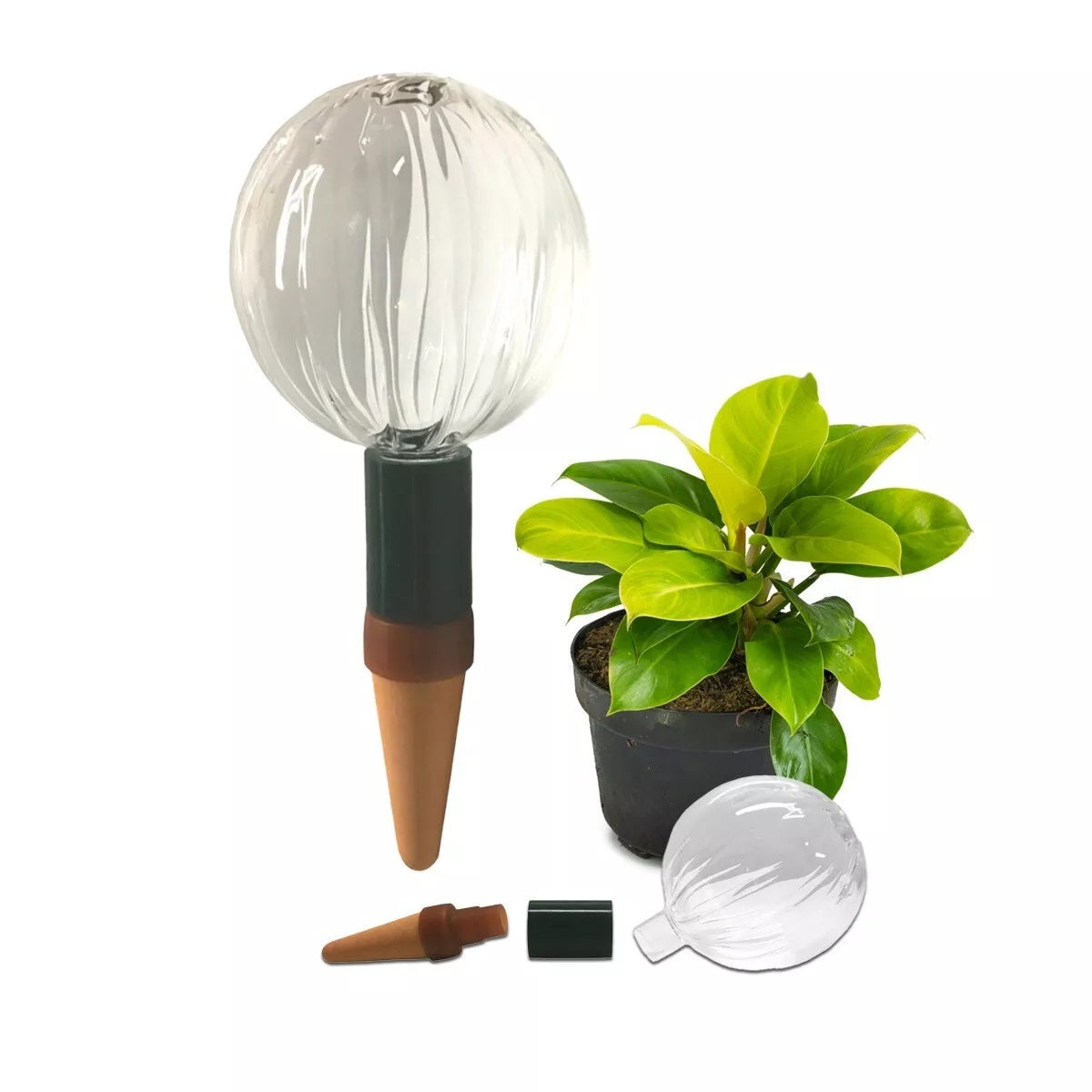 Sustainable Village collection at Resin Society