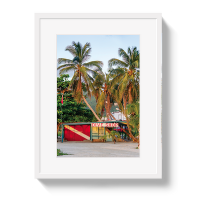 Dive Shop by Johnny Vacay - product image 2 for Resin Society