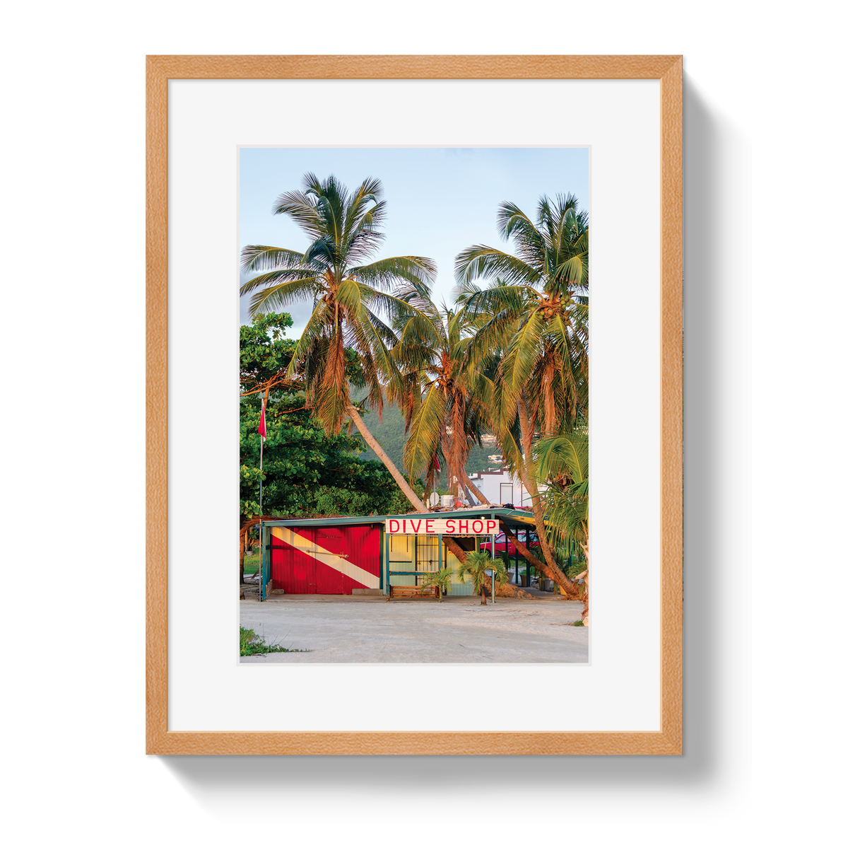 Dive Shop by Johnny Vacay - product image 3 for Resin Society