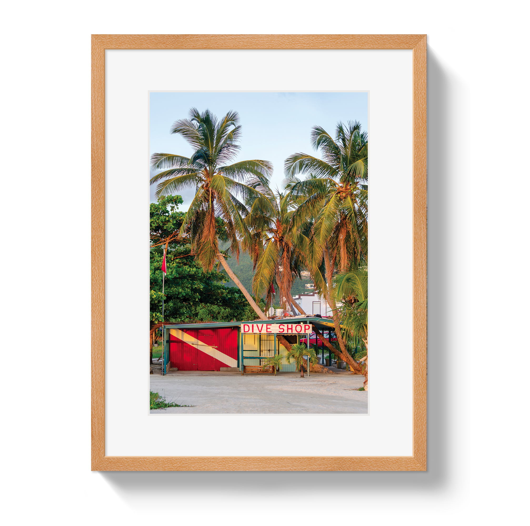 Dive Shop by Johnny Vacay - product image 3 for Resin Society