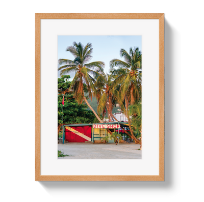Dive Shop by Johnny Vacay - product image 3 for Resin Society