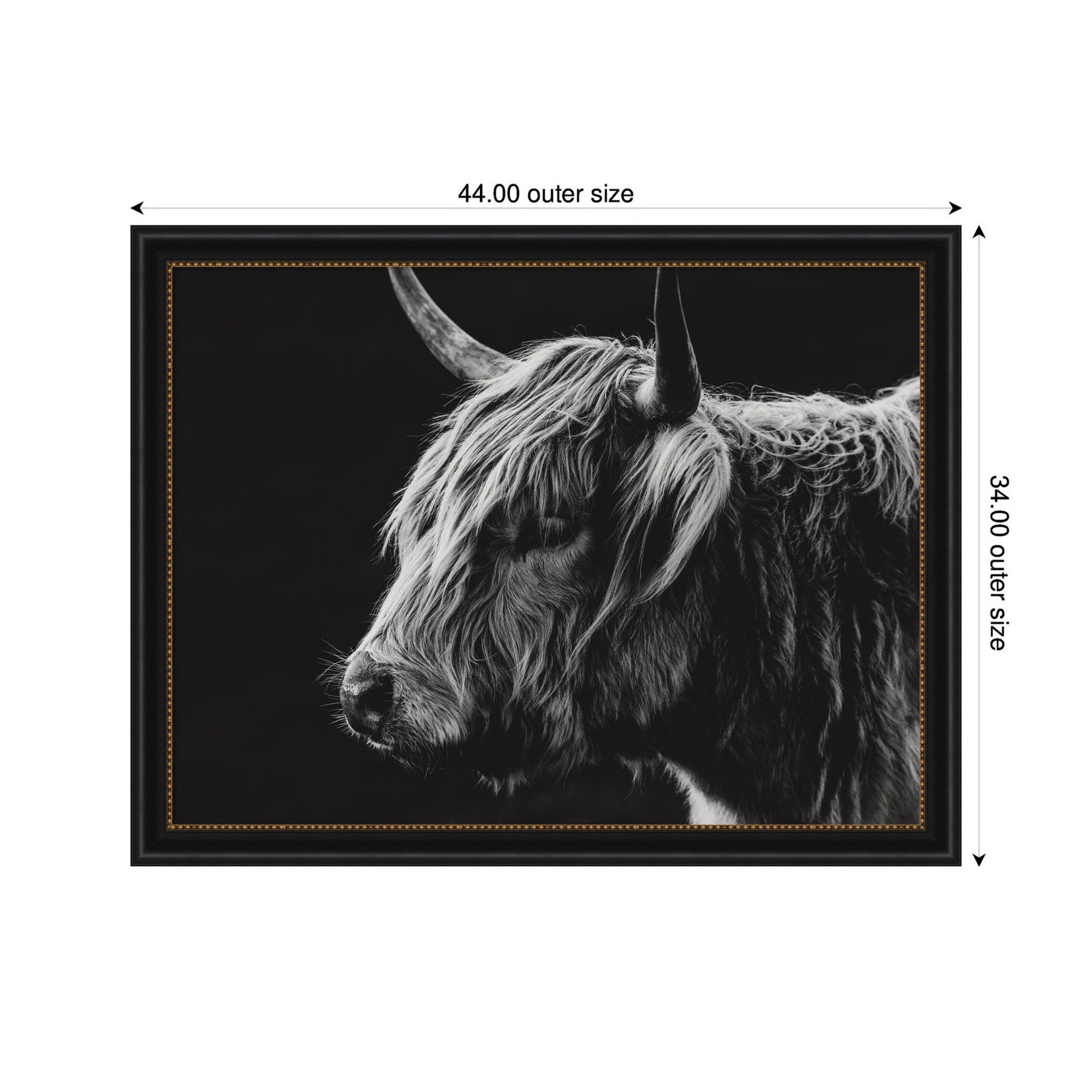 Scottish Highland by Crystal Lynn Collins Framed Wall Art Print