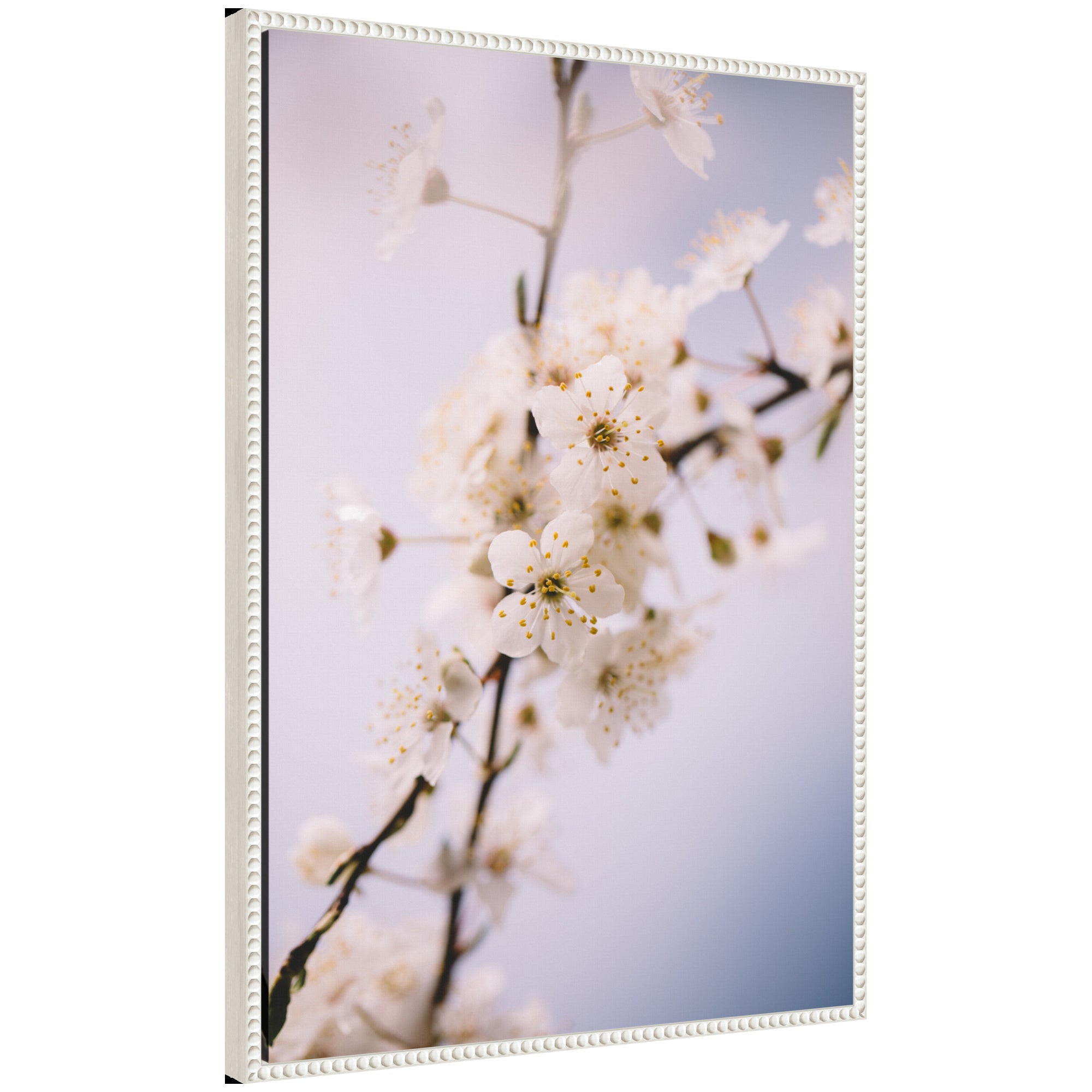 Sylvie Nature White Floral Blooms framed canvas art showing white floral elements on a neutral background