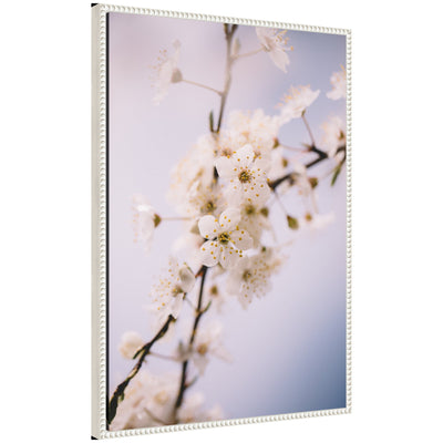 Sylvie Nature White Floral Blooms framed canvas art showing white floral elements on a neutral background
