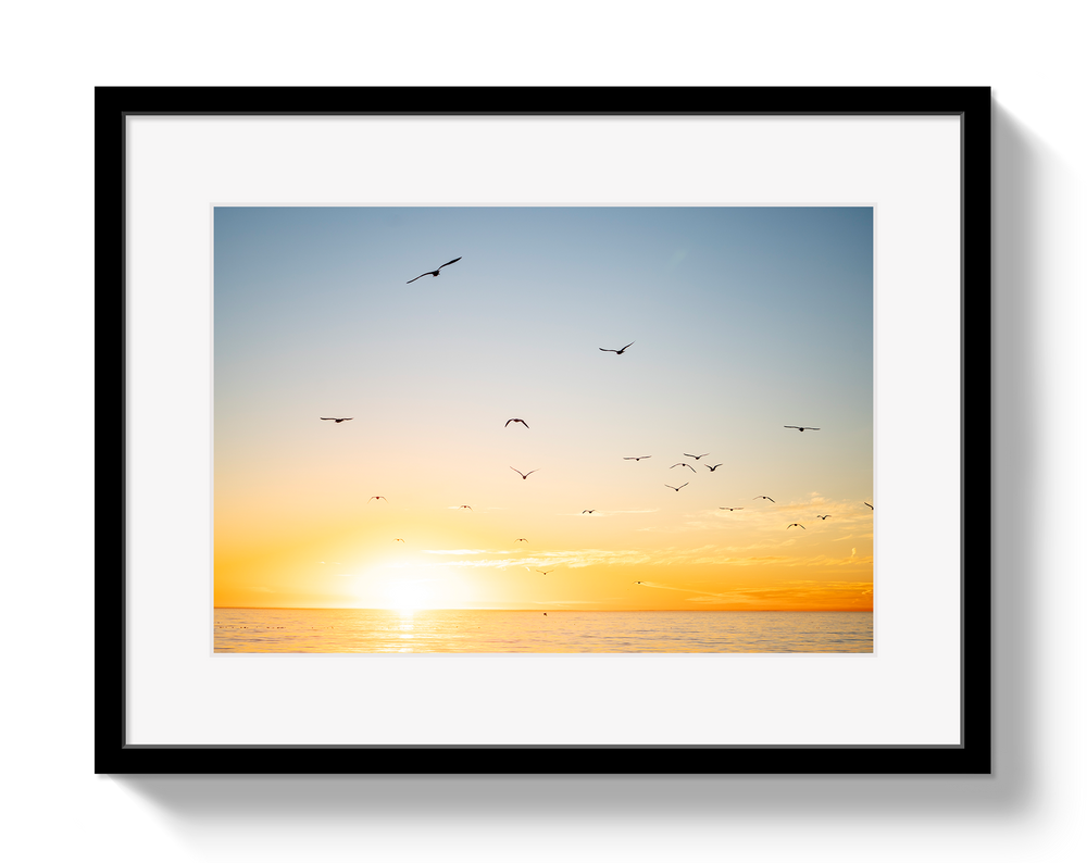 Mexican Sunset by Johnny Vacay - main product image for Resin Society