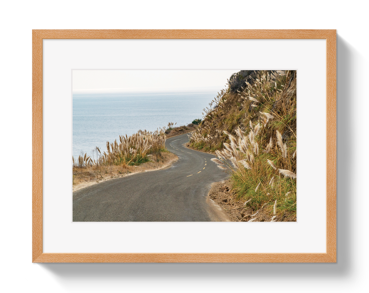 Big Sur by Johnny Vacay - product image 3 for Resin Society