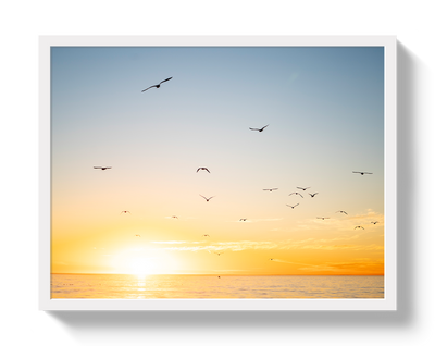 Mexican Sunset by Johnny Vacay - product image 5 for Resin Society
