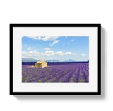 Lavender Fields by Johnny Vacay - main product image for Resin Society