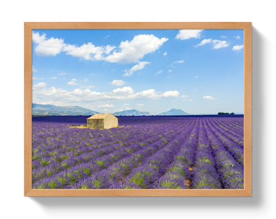 Lavender Fields by Johnny Vacay - product image 6 for Resin Society