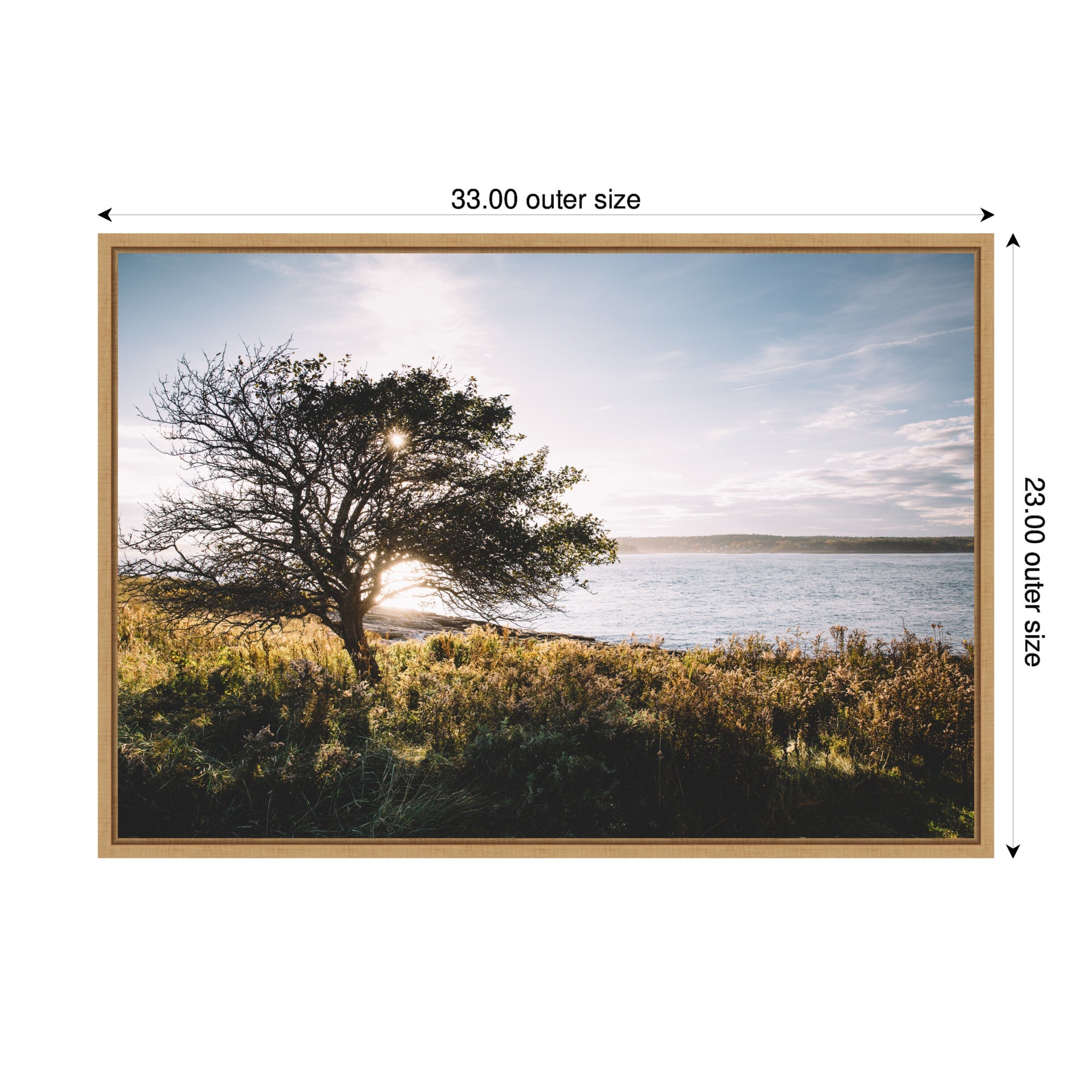 Sylvie Coastal Serene Sunset Tree Landscape Framed Canvas by Patricia Hasz