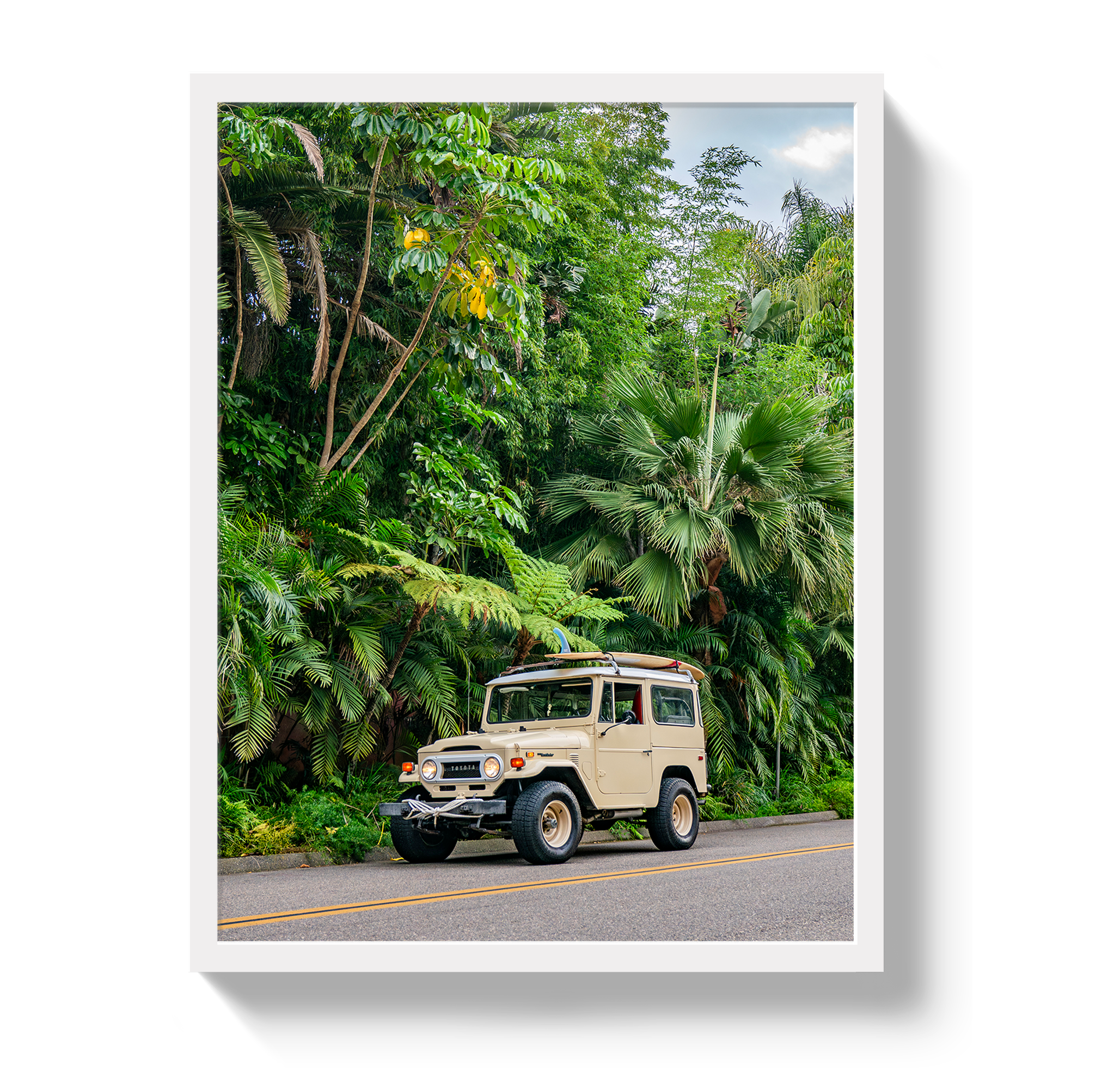 Tropical FJ 2 by Johnny Vacay - product image 5 for Resin Society