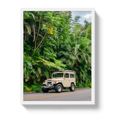 Tropical FJ 2 by Johnny Vacay - product image 5 for Resin Society