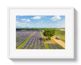 Provence Picnic by Johnny Vacay - product image 2 for Resin Society